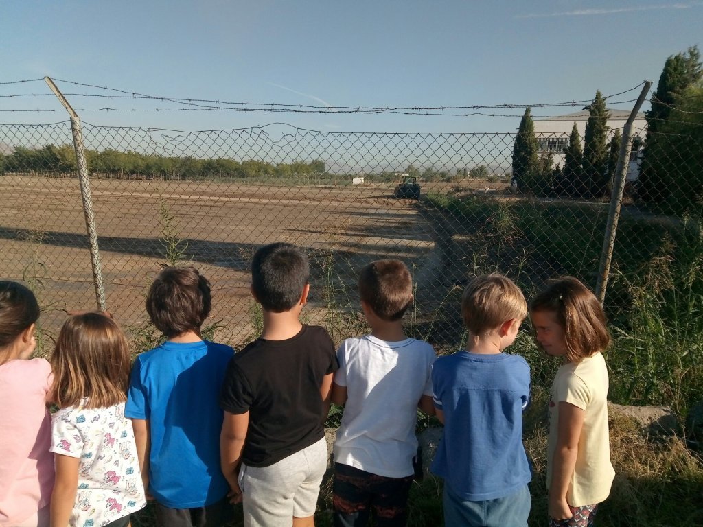 Nuestro entorno La vega de Granada Blog de Primaria 1º 2º EPO