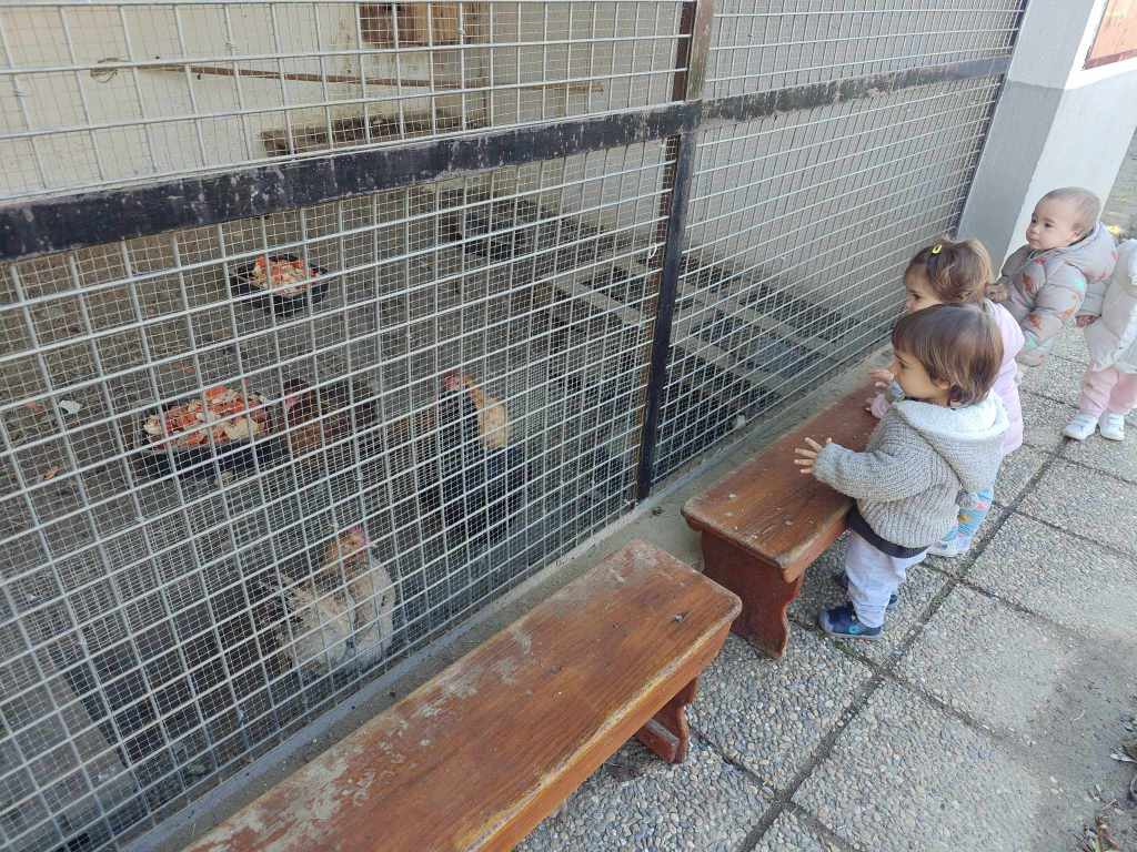 IMG20250110110446 (1)