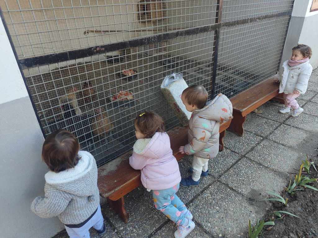 IMG20250110110509 (1)