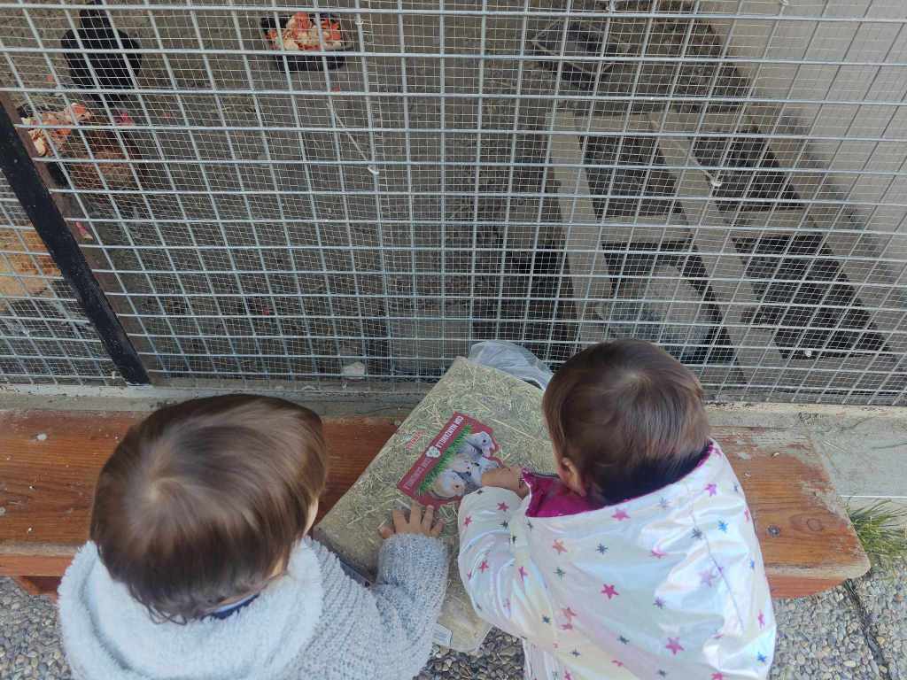 IMG20250110110706 (1)