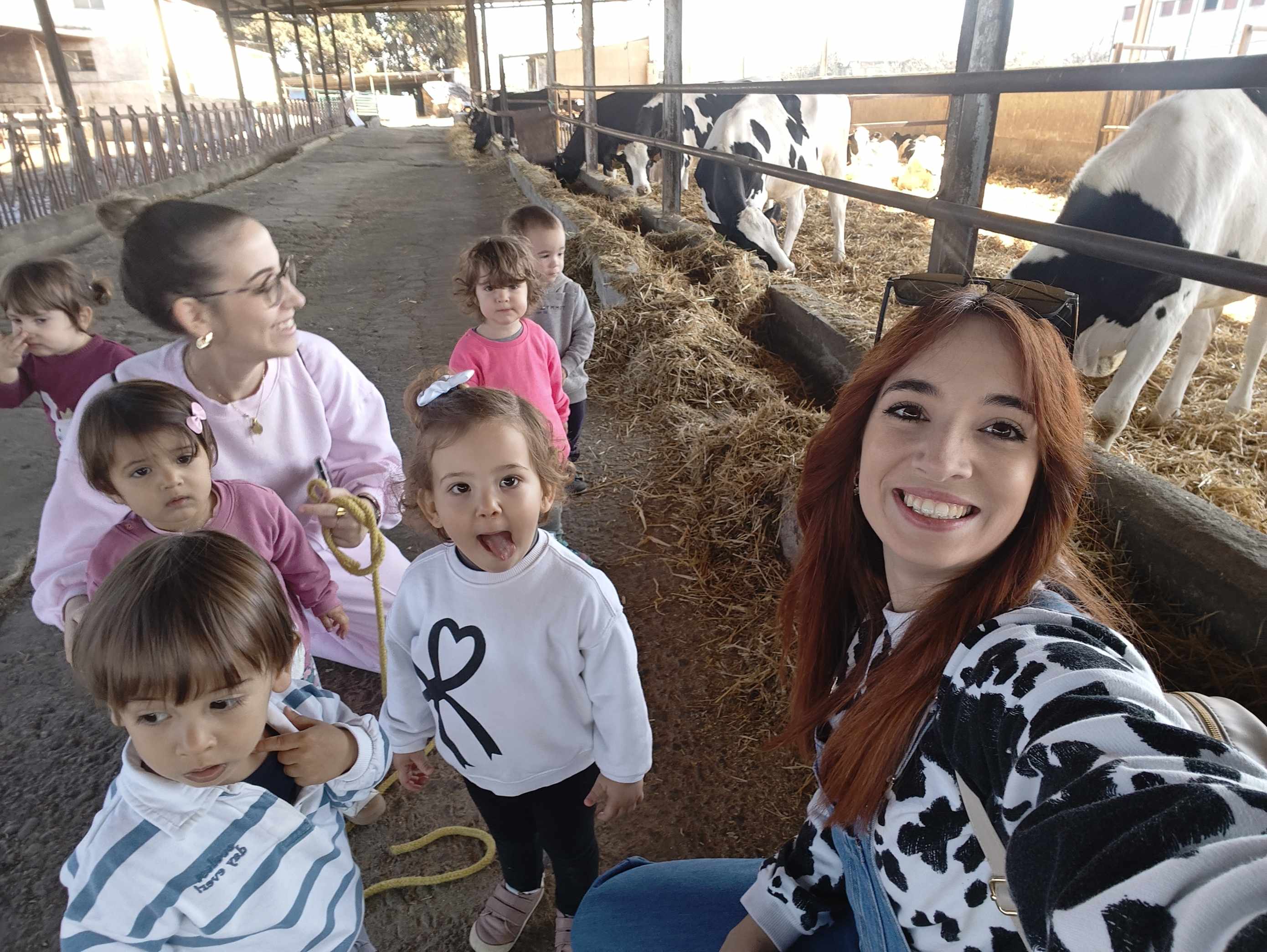 IMG20250328105620 (1)