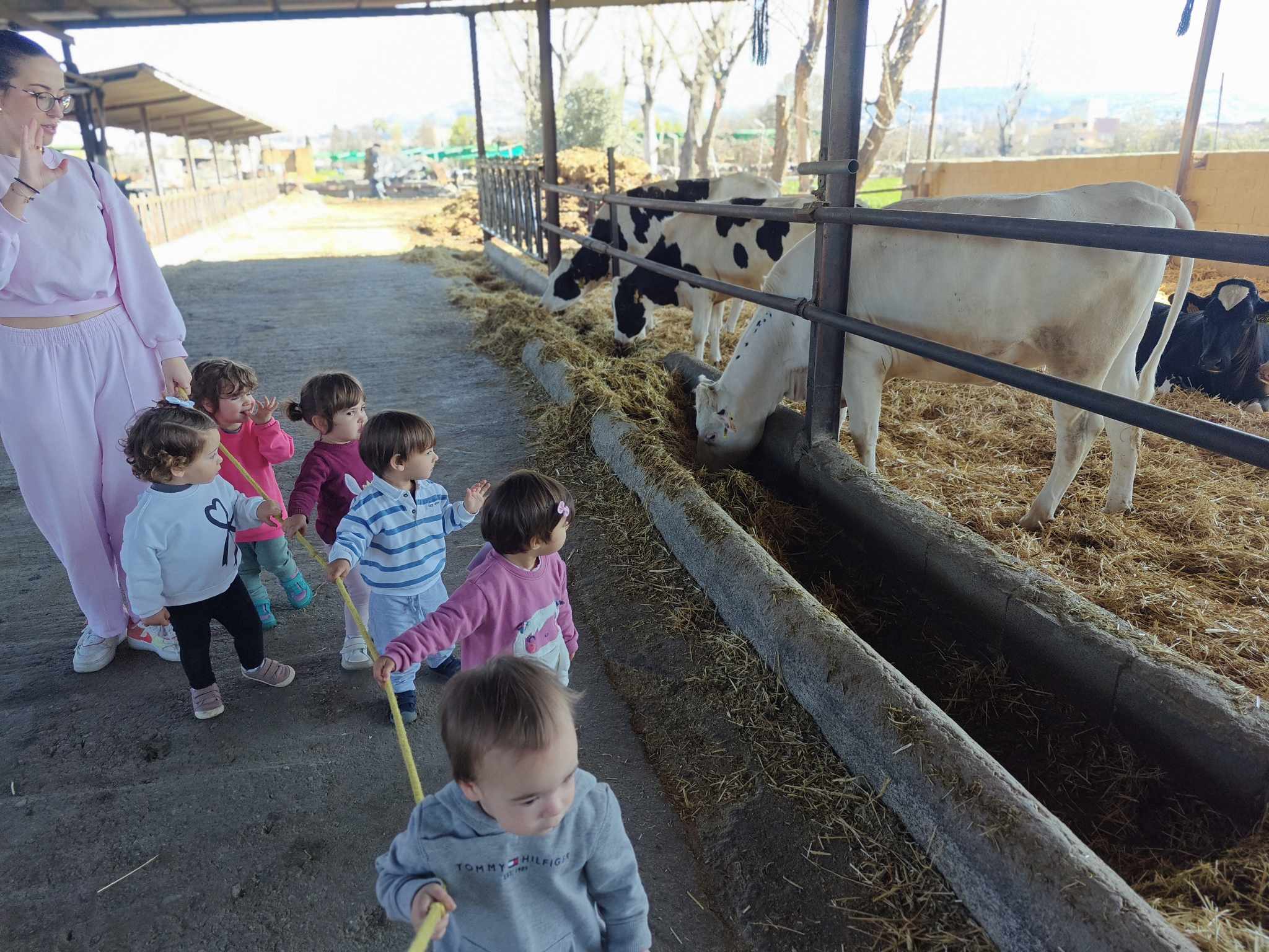 IMG20250328105932 (1)