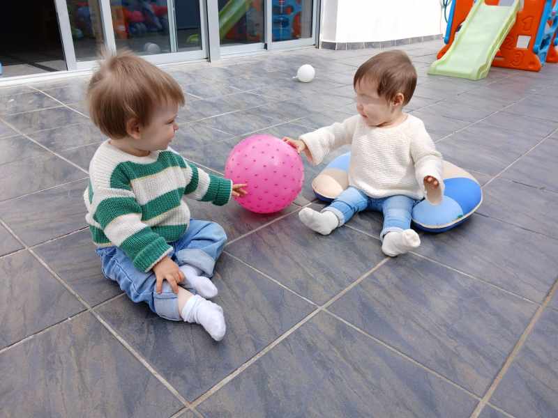 IMG_20250514_200337 IMG_20250514_200337