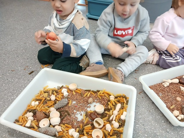 a39b48fd-63e8-4463-9953-e9c7e2c22065