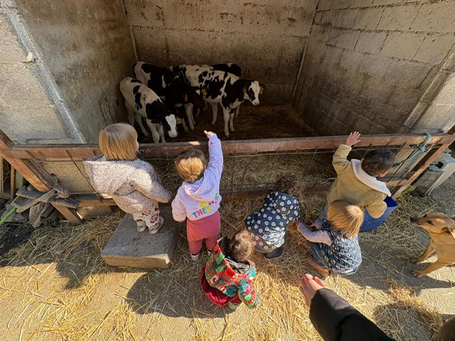 5c29d861-b00e-4770-9f11-d5d6a3a8a320