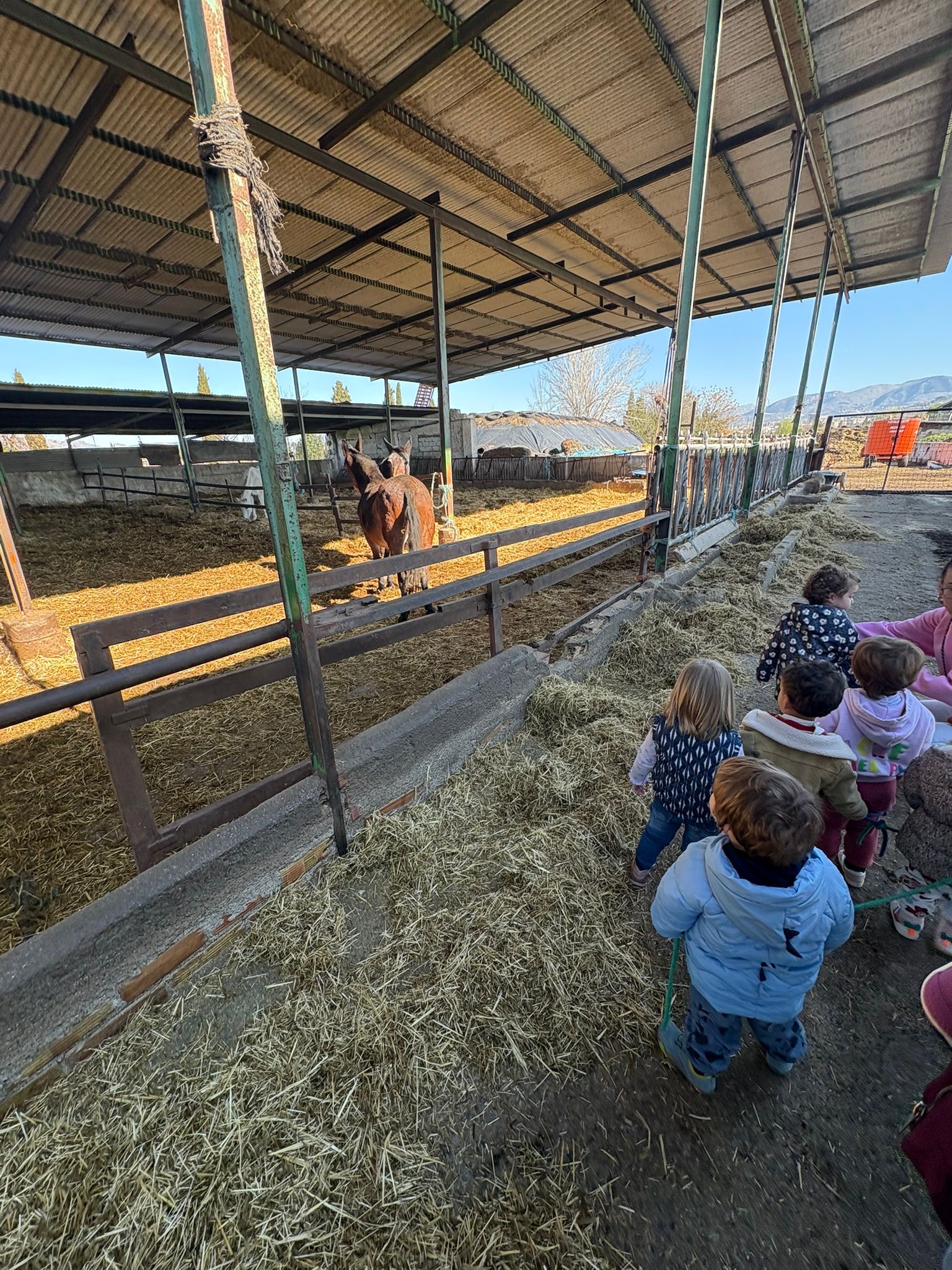 d7683d55-ad80-4c44-b4c2-5039fbf2e502