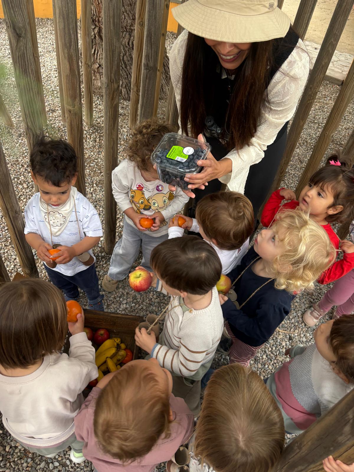 d1f60c62-a4ec-4400-bc09-b3986f2c20c2