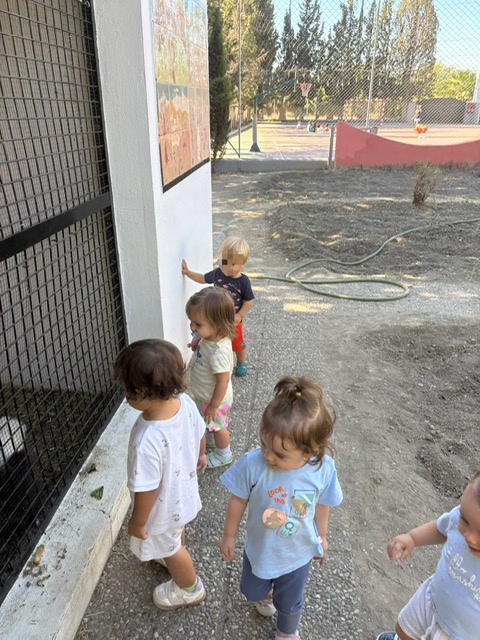 PHOTO-2026-09-25-17-53-17_5