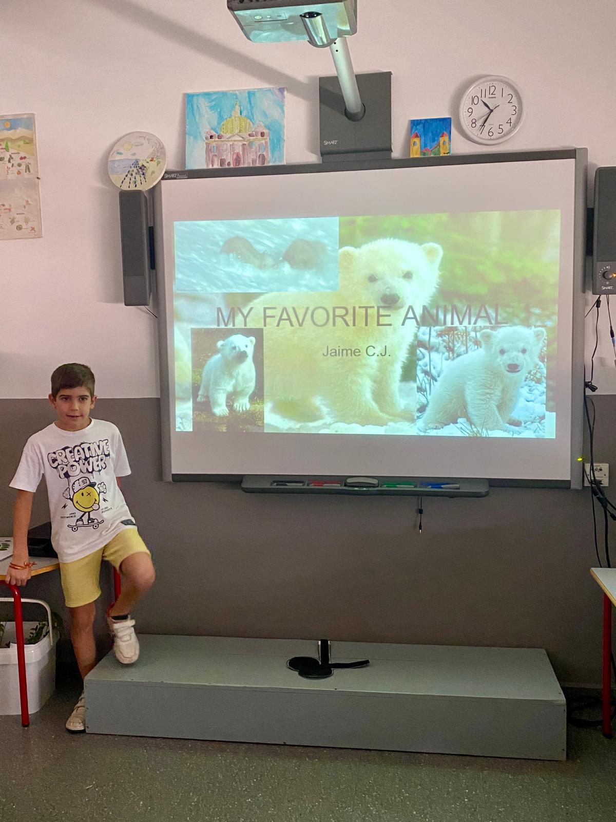 WhatsApp Image 2025-06-13 at 11.33.16