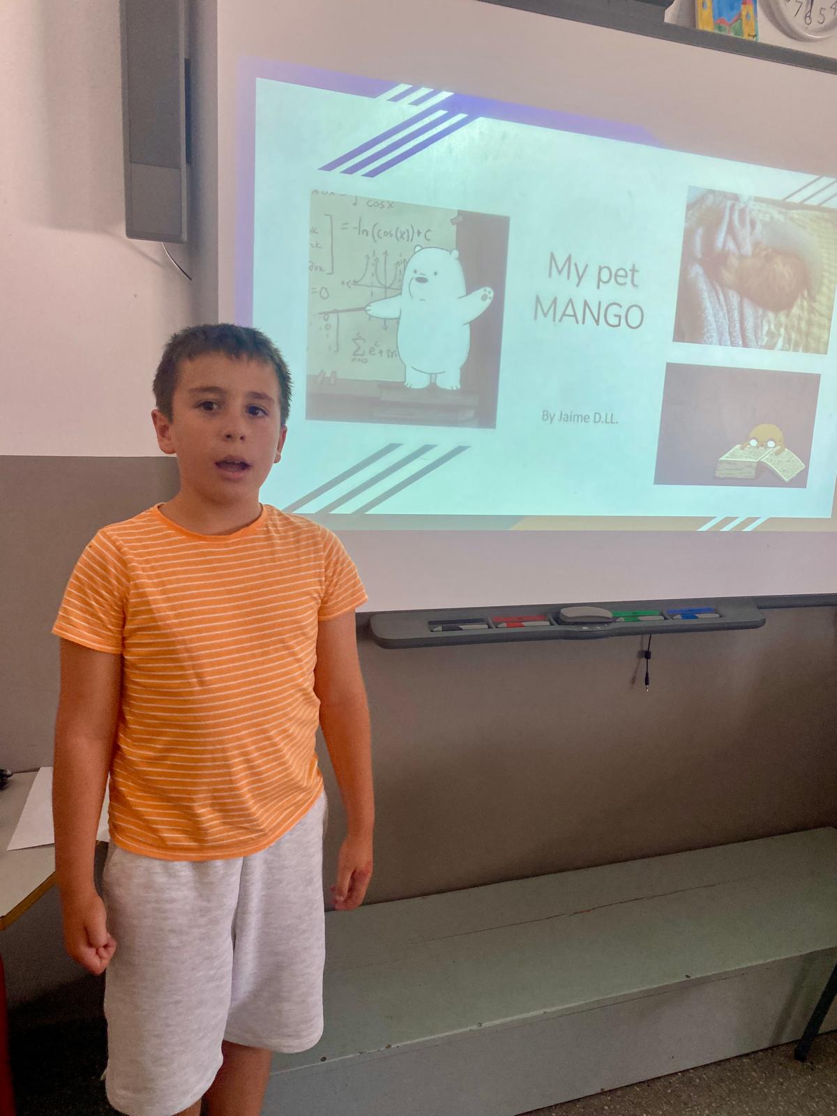 WhatsApp Image 2025-06-13 at 11.35.08