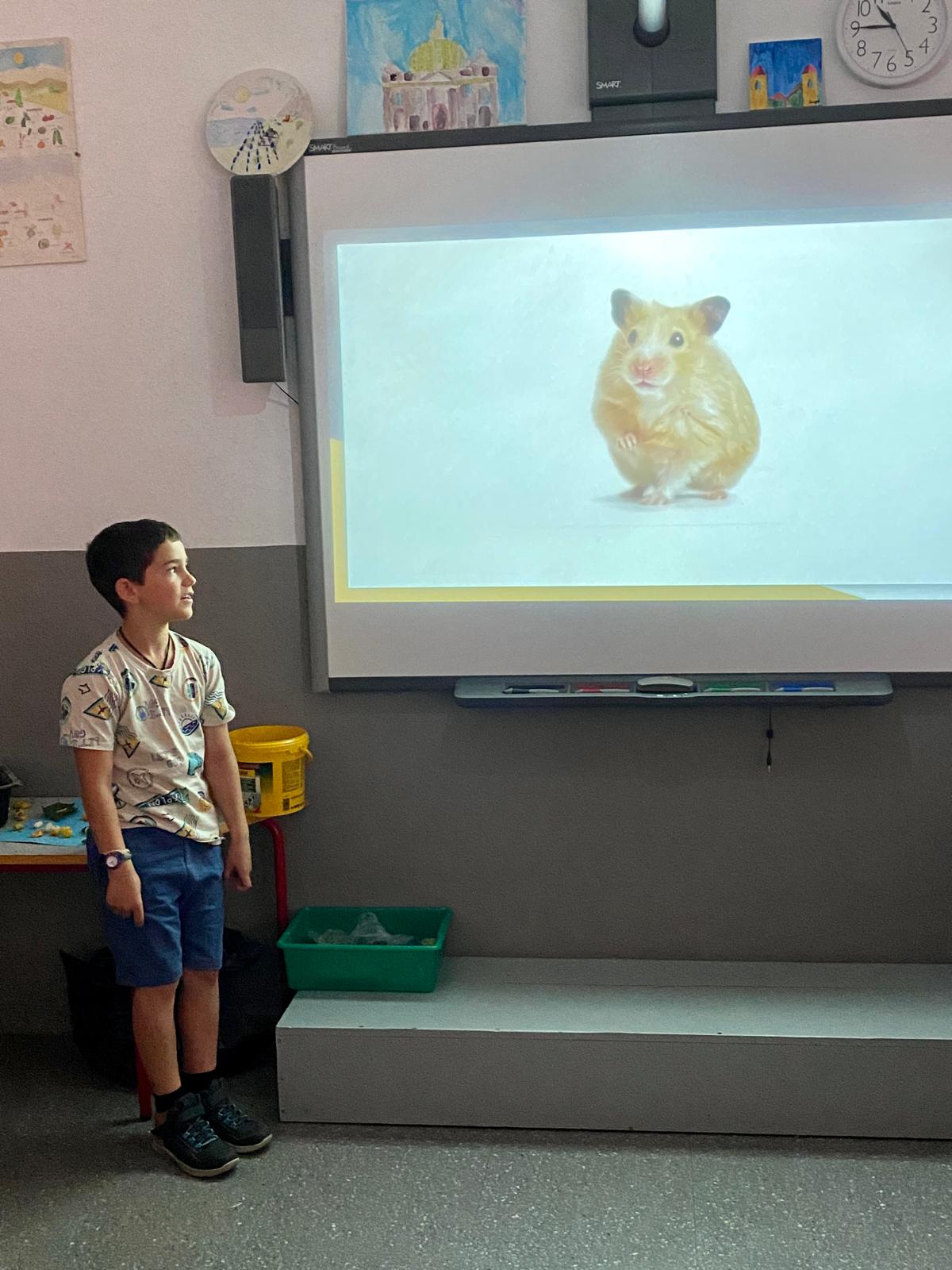 WhatsApp Image 2025-06-13 at 11.35.31