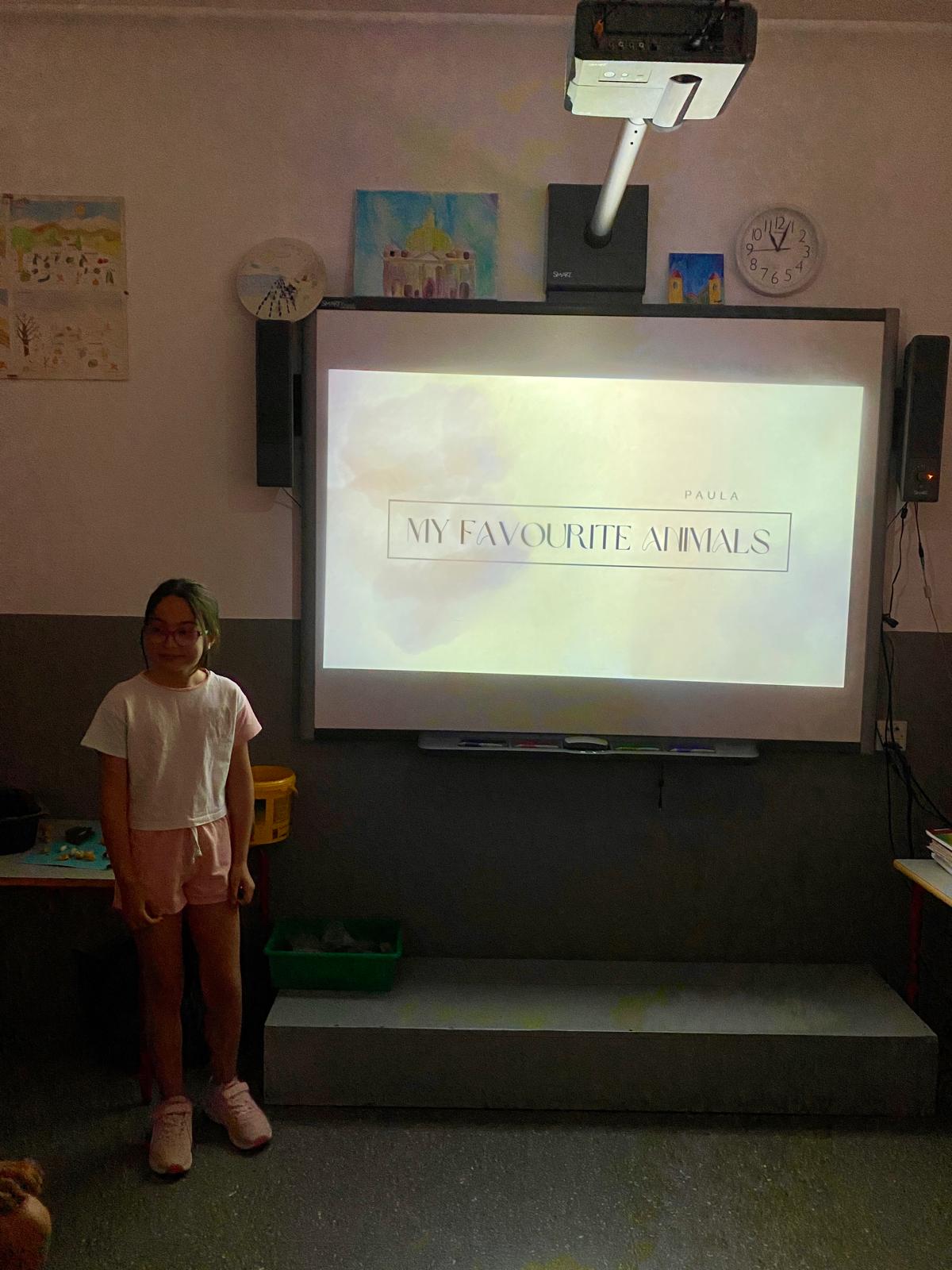 WhatsApp Image 2025-06-13 at 11.35.32 (1)