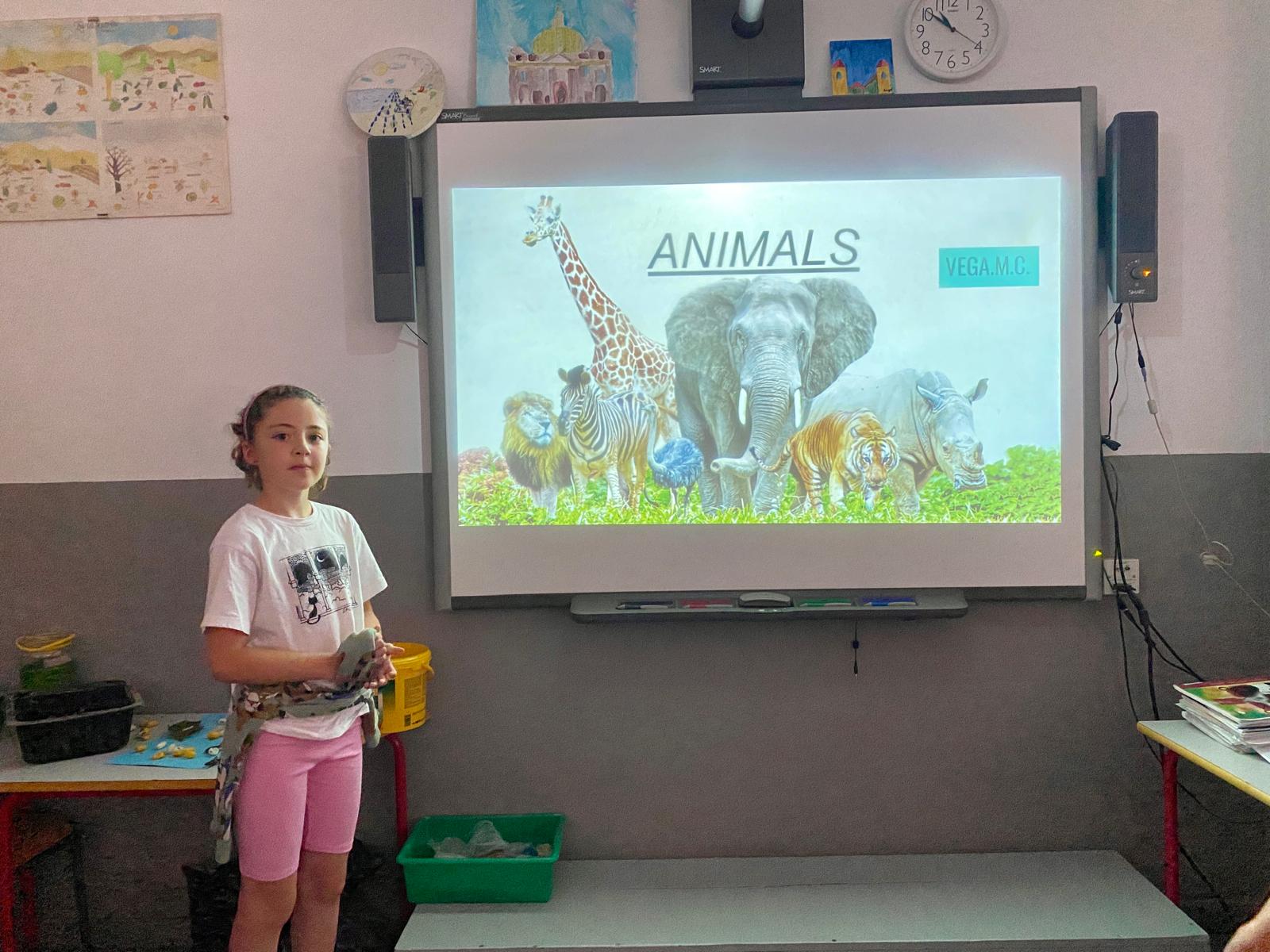 WhatsApp Image 2025-06-13 at 11.35.32