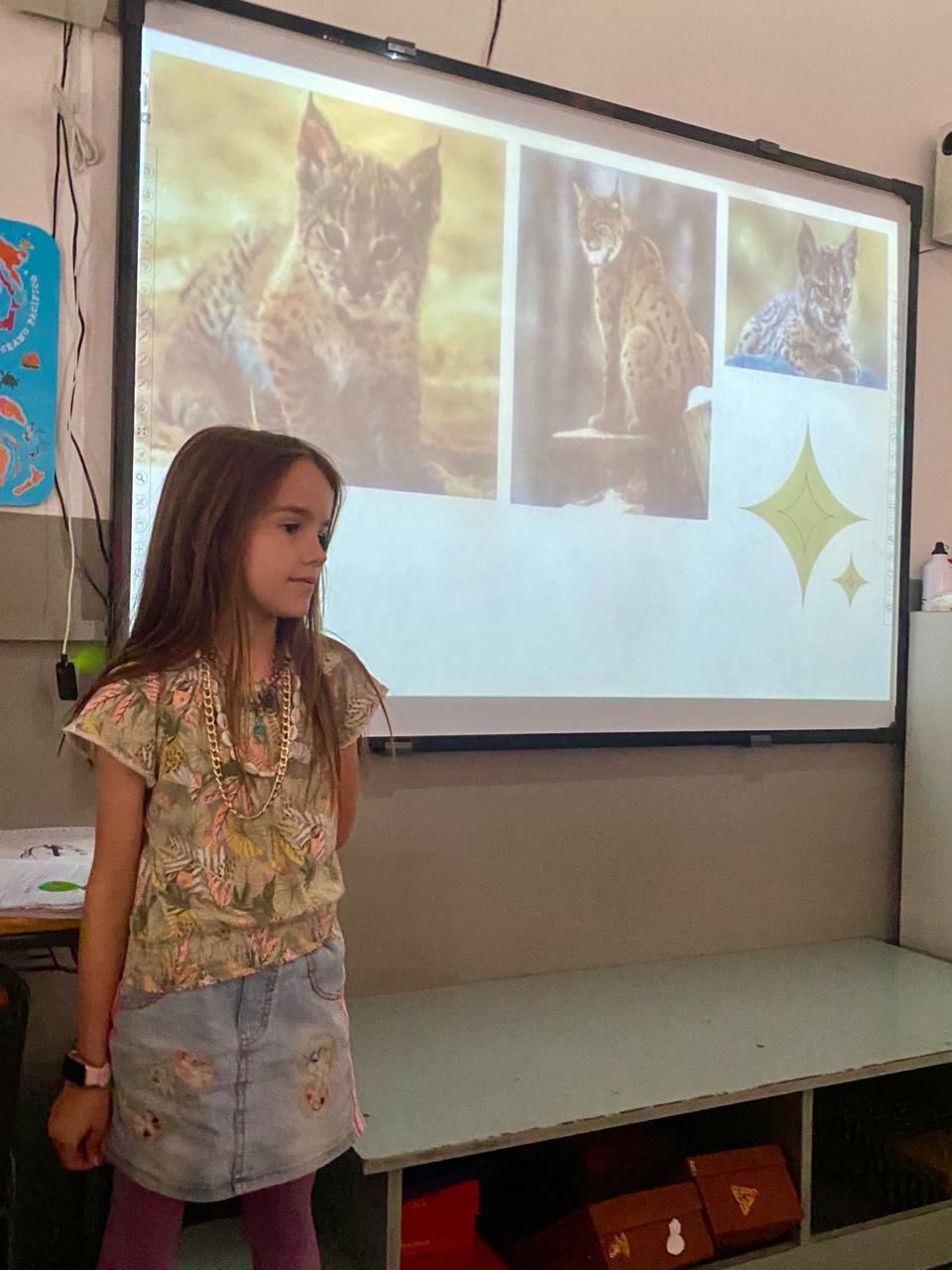 WhatsApp Image 2025-06-13 at 11.36.42 (1)