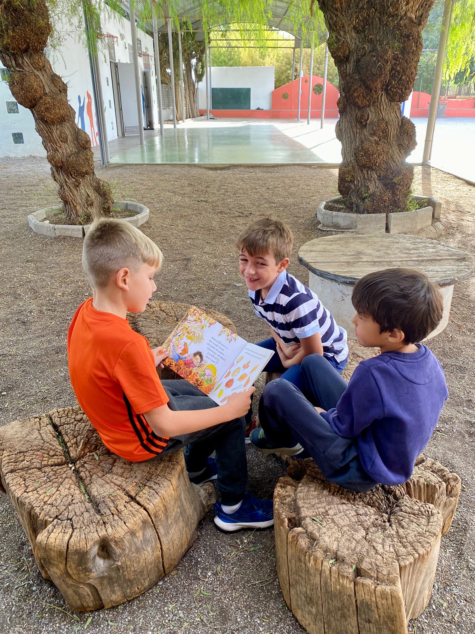 WhatsApp Image 2025-11-14 at 15.52.27