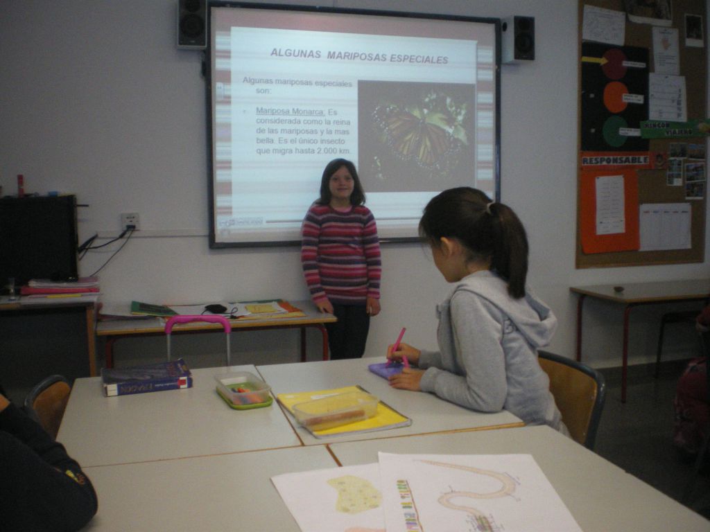 Conferencia mariposas