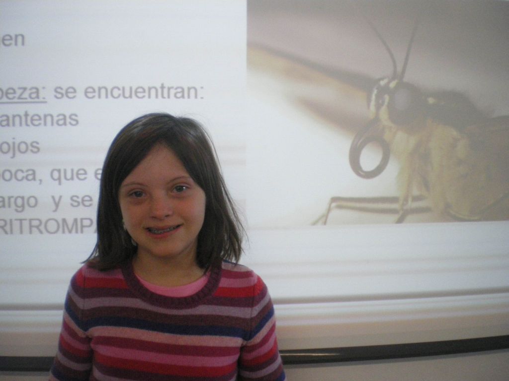 conferencia mariposas