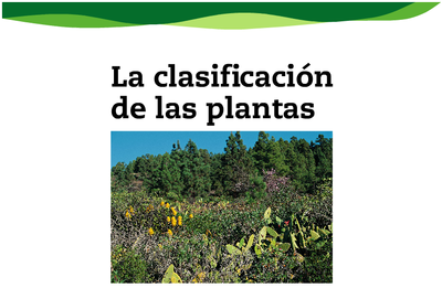 Clasificación de las plantas