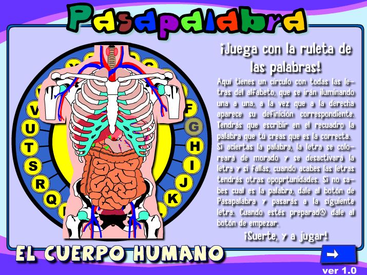 Cuerpo humano