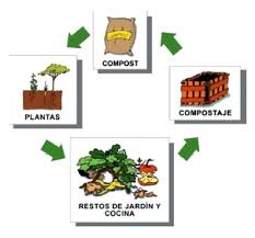 compost escolar