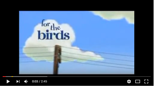 the-birds