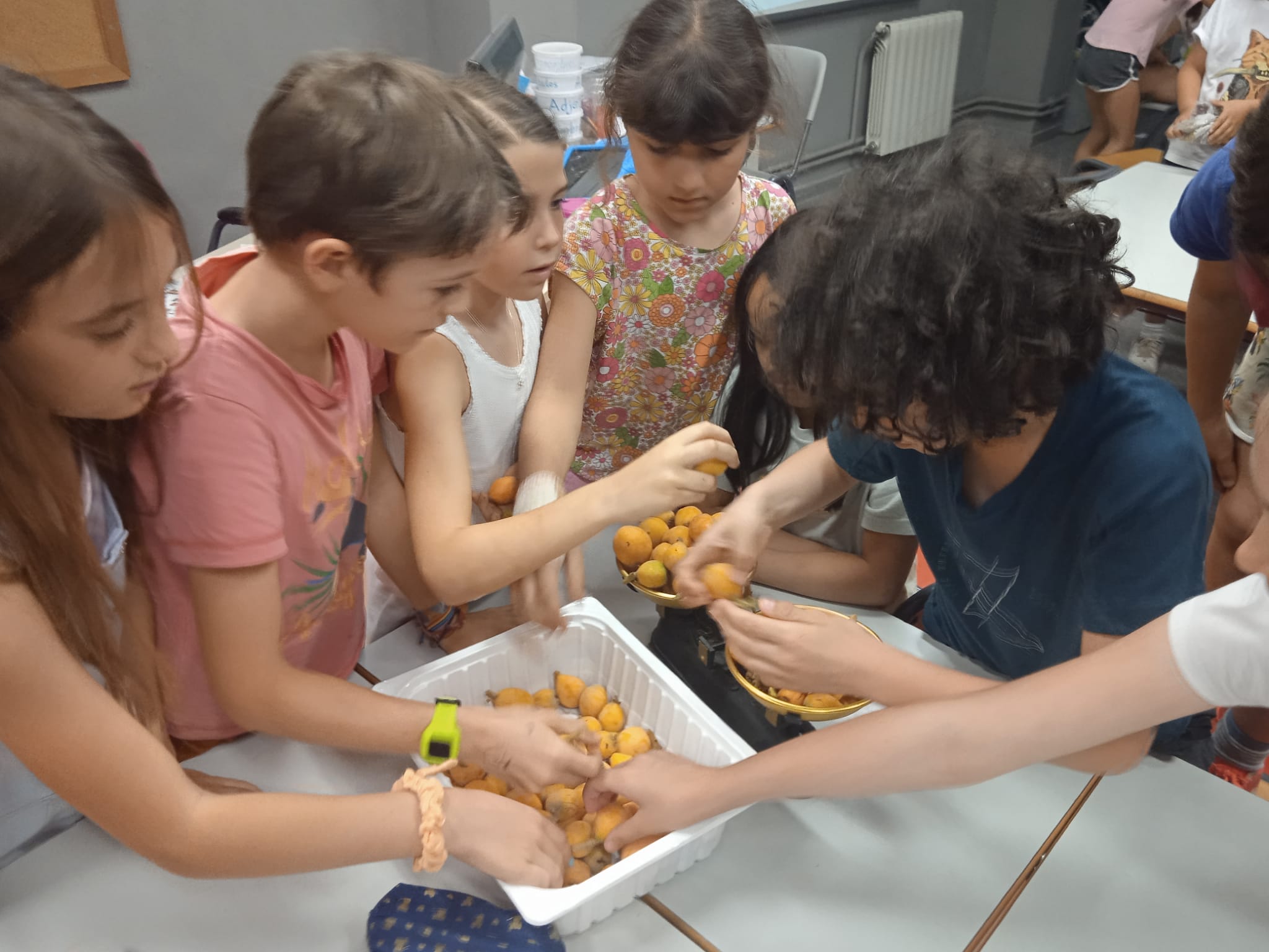 WhatsApp Image 2022-06-11 at 12.35.58 PM-2