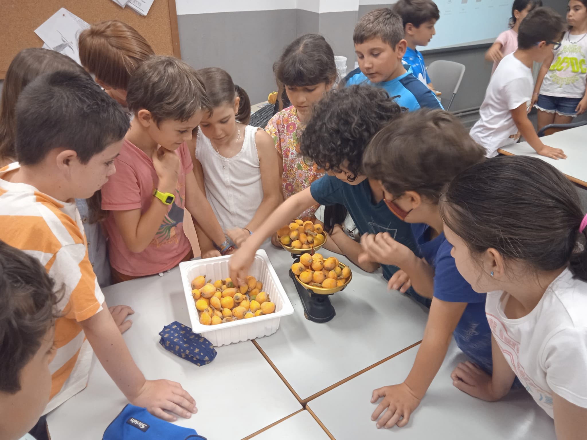 WhatsApp Image 2022-06-11 at 12.35.58 PM-3