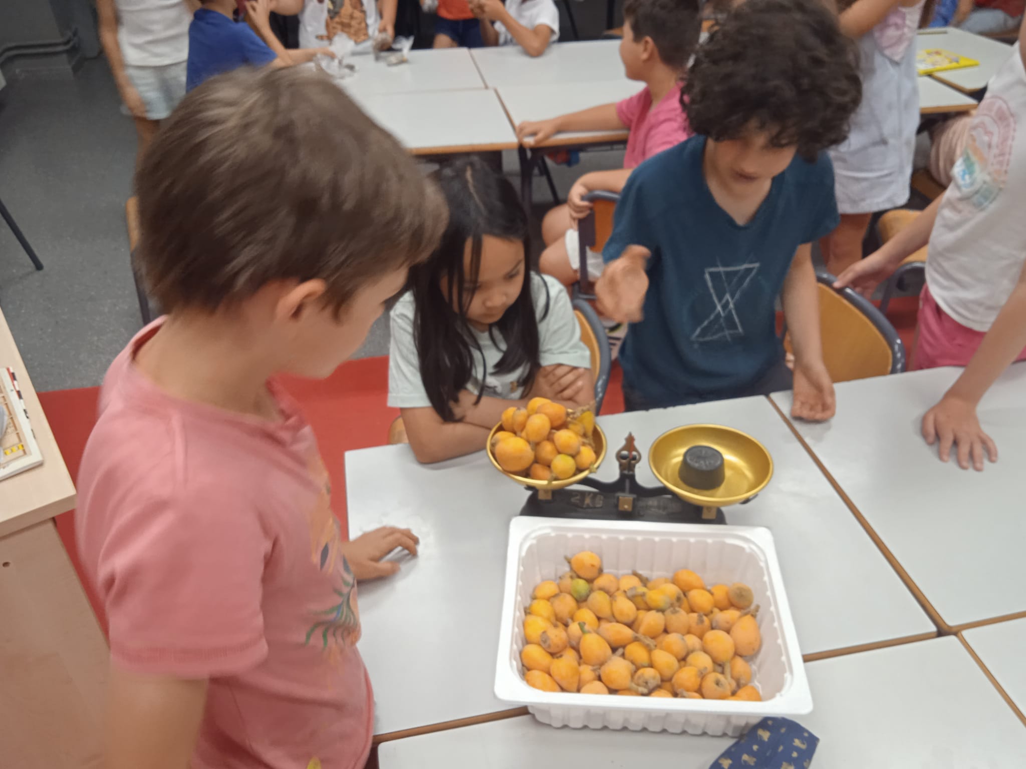 WhatsApp Image 2022-06-11 at 12.35.58 PM