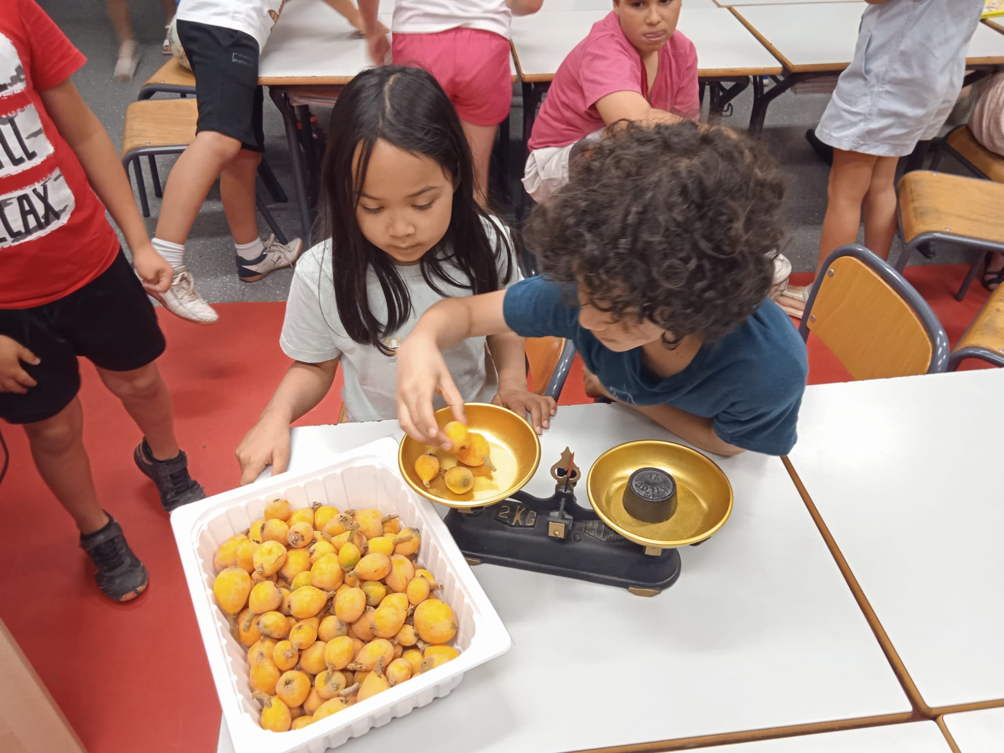 WhatsApp Image 2022-06-11 at 12.35.59 PM-3