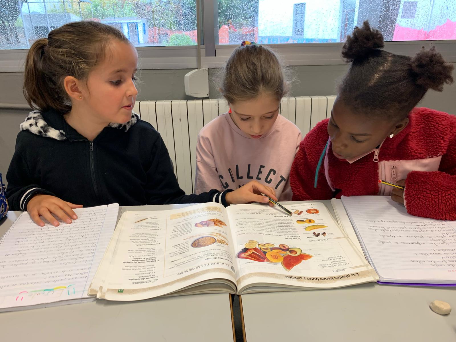 6393427b-ba6b-4662-8523-6b18ca66c559 6393427b-ba6b-4662-8523-6b18ca66c559