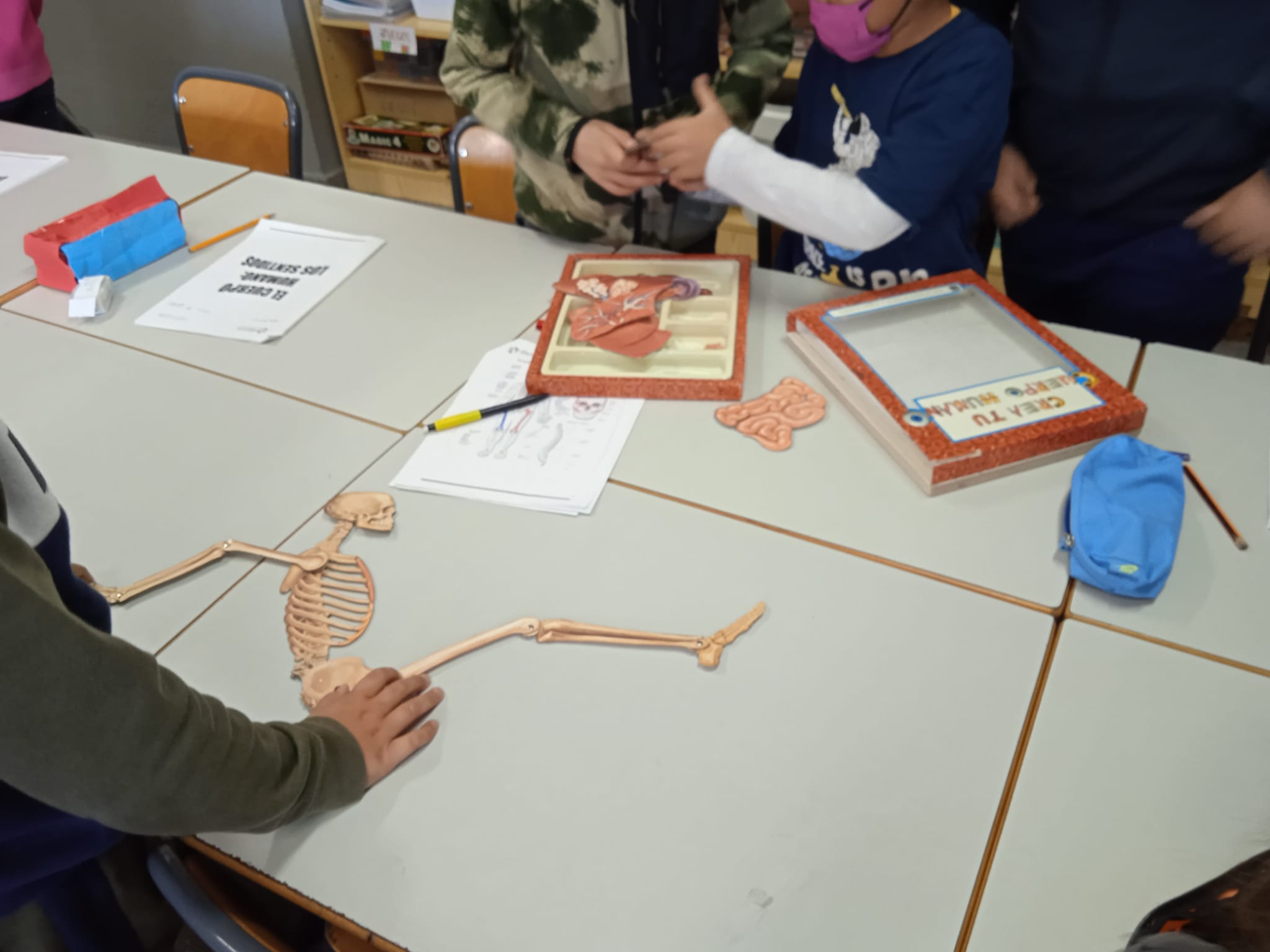 WhatsApp Image 2022-12-06 at 10.42.13-2