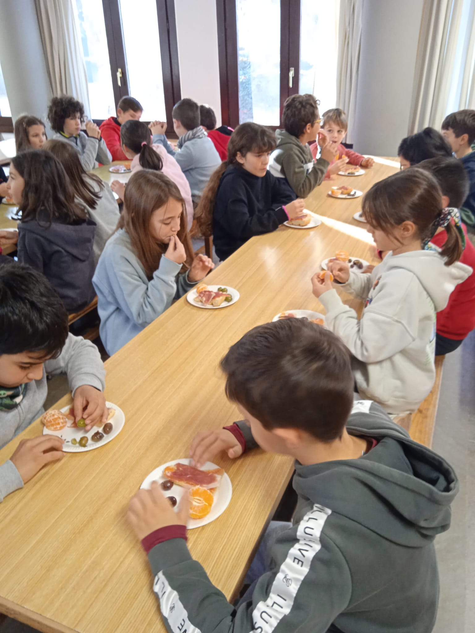 WhatsApp Image 2022-12-22 at 08.52.43