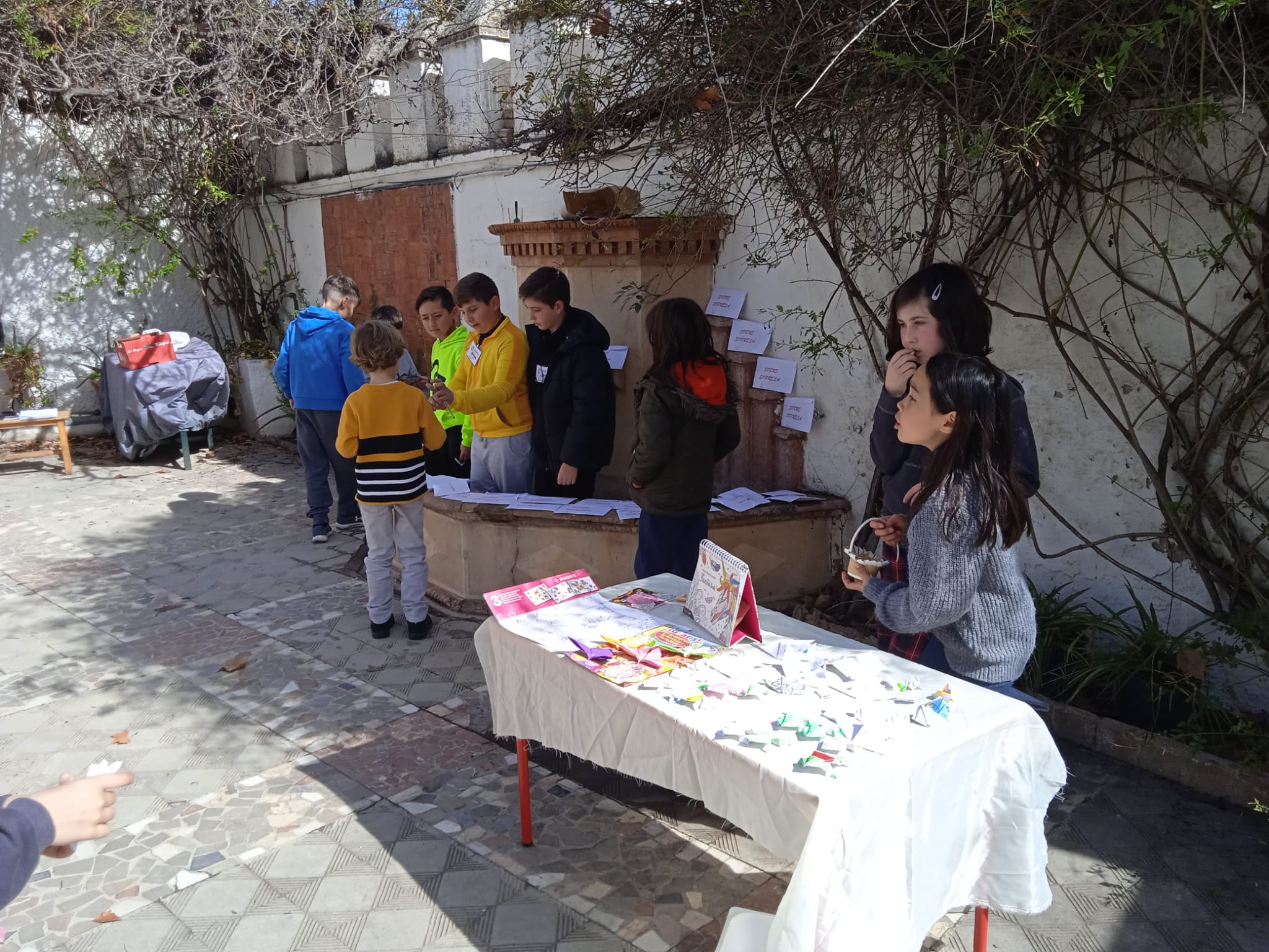 WhatsApp Image 2023-03-10 at 20.30.45-3