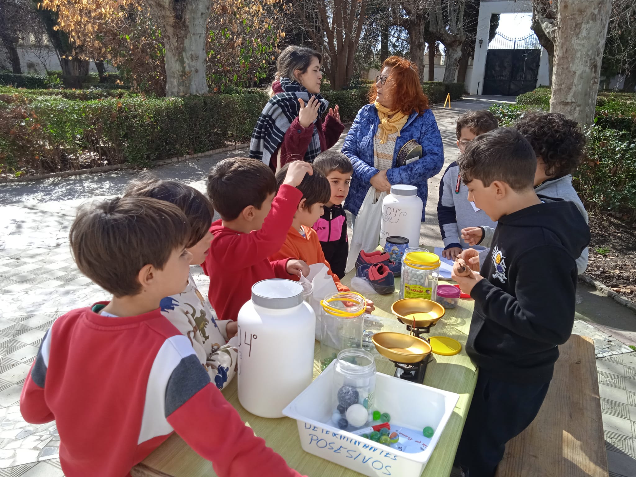 WhatsApp Image 2023-03-10 at 20.30.46-3