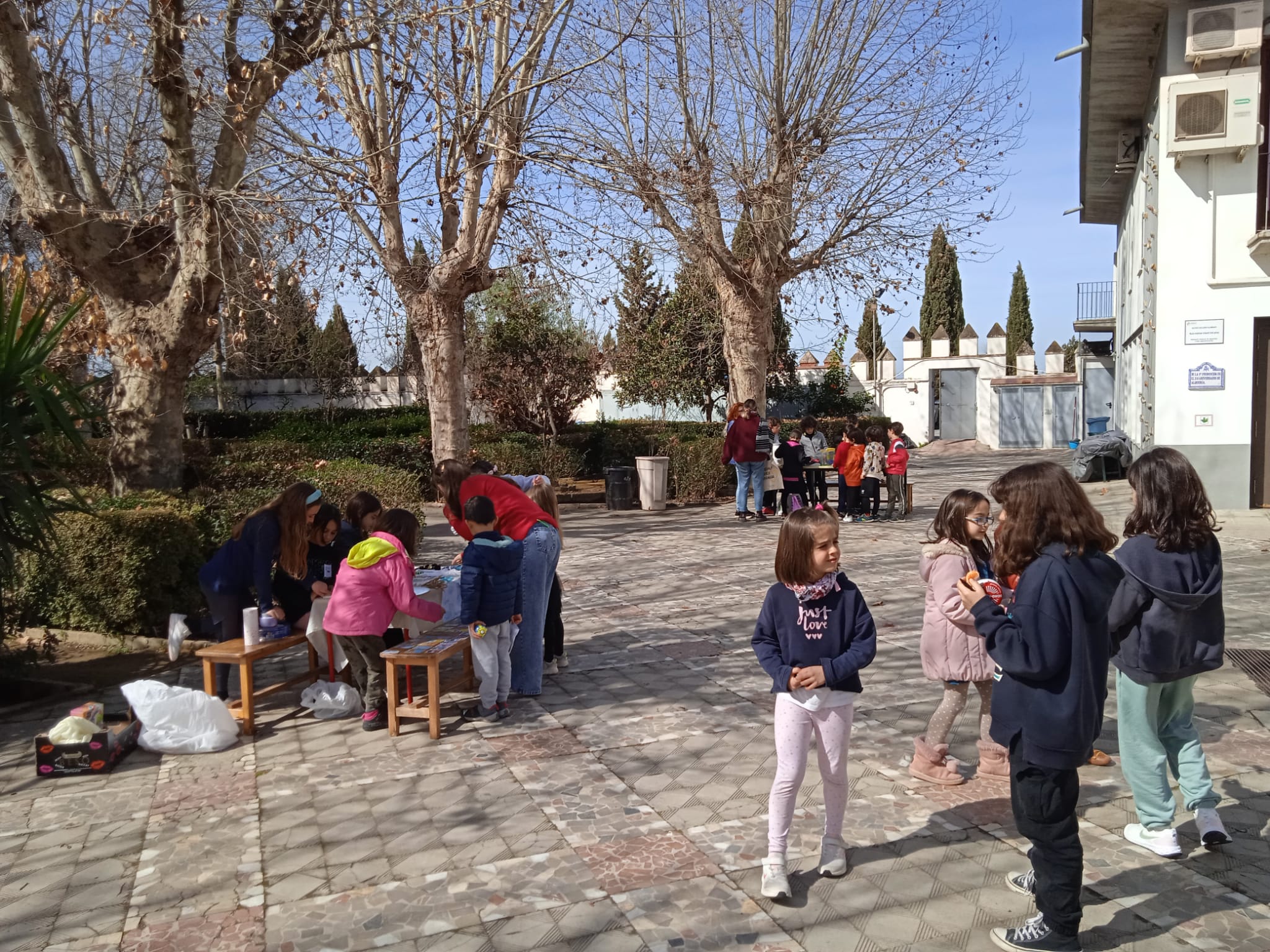 WhatsApp Image 2023-03-10 at 20.30.46