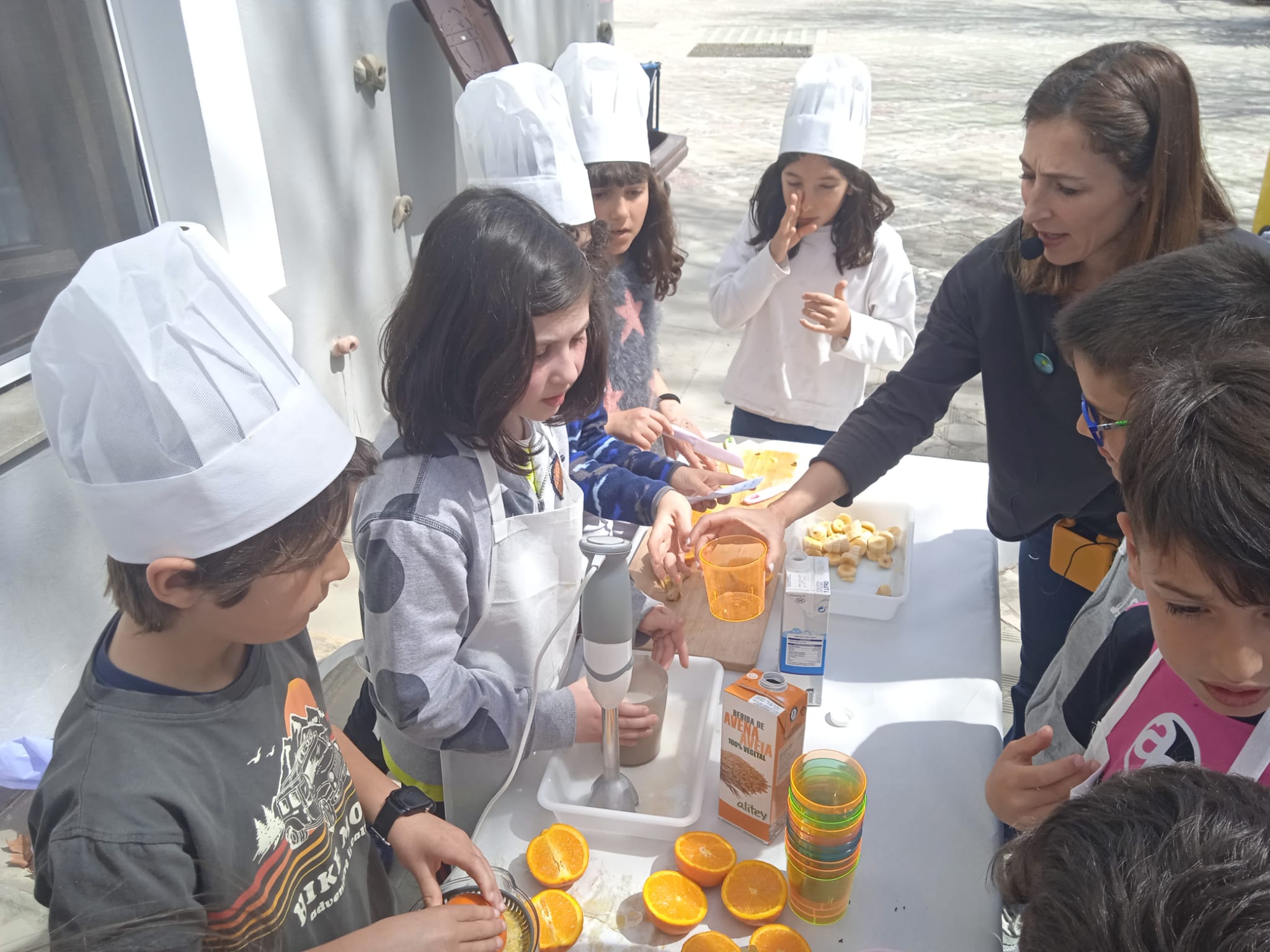 WhatsApp Image 2023-03-26 at 10.06.46