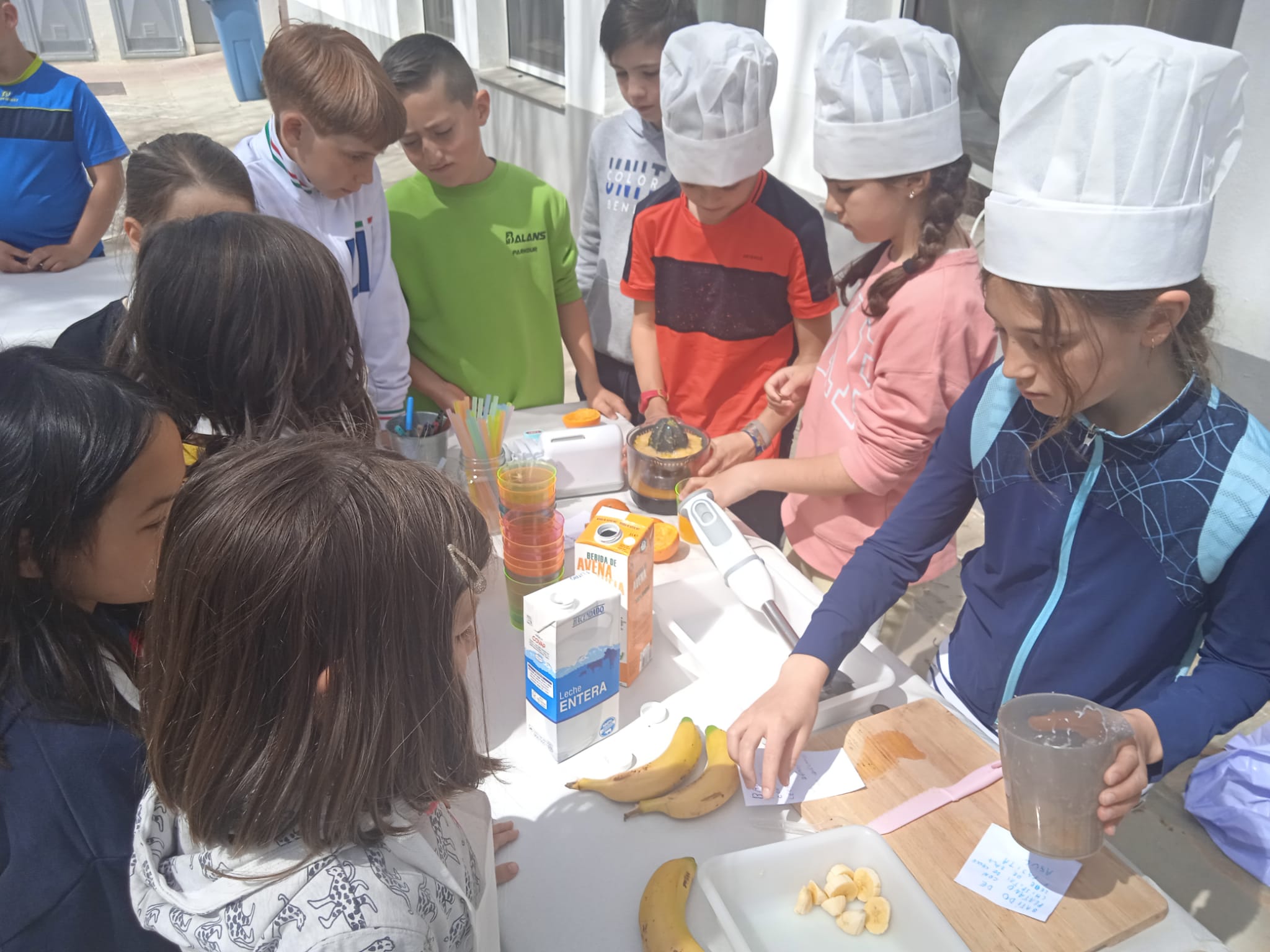 WhatsApp Image 2023-03-26 at 10.06.47-3