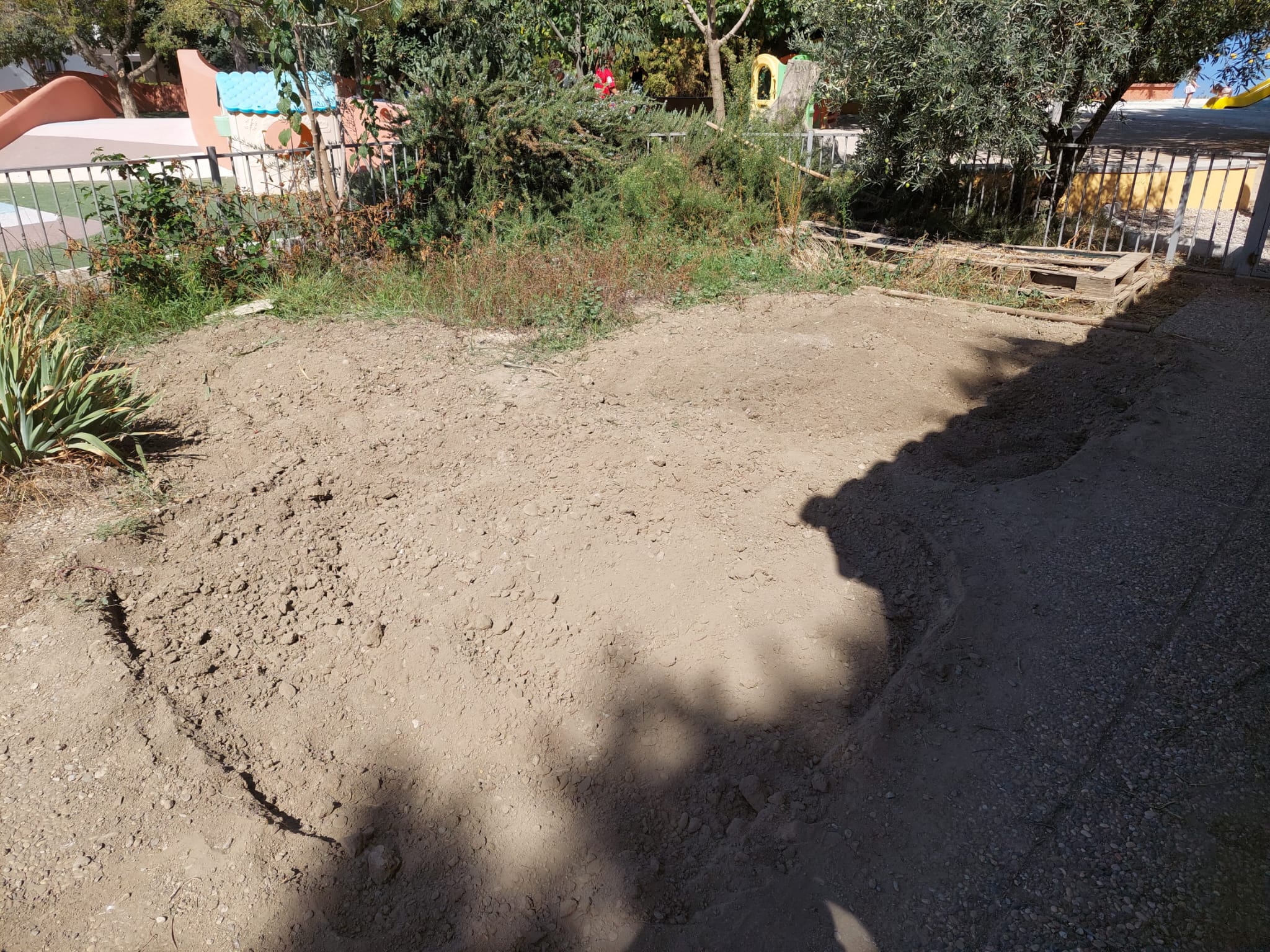 WhatsApp Image 2023-10-06 at 18.47.53-2