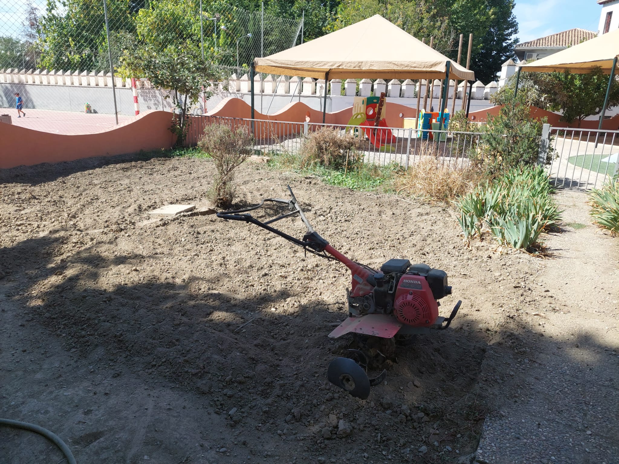 WhatsApp Image 2023-10-06 at 18.47.53-3