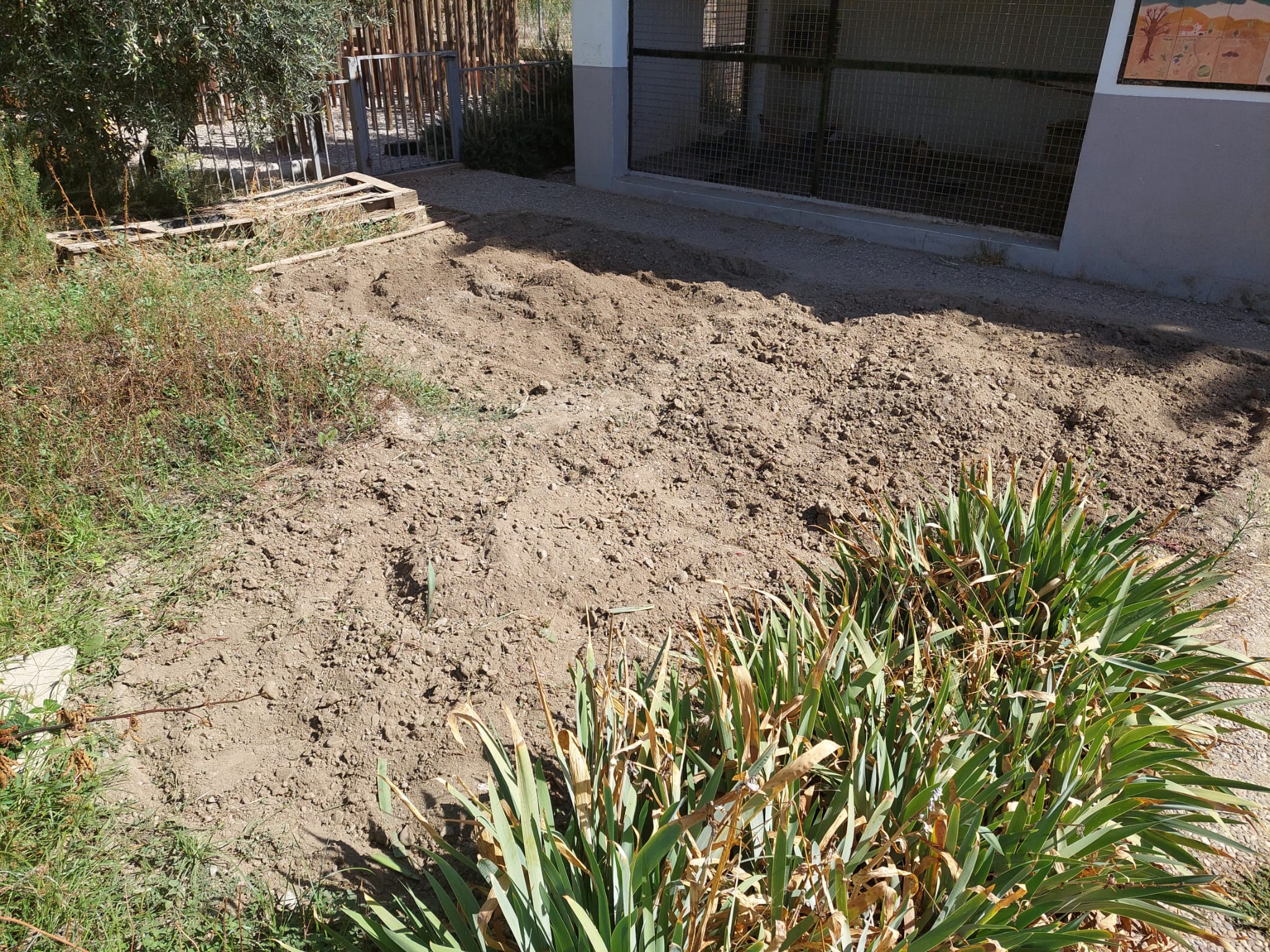 WhatsApp Image 2023-10-06 at 18.47.53