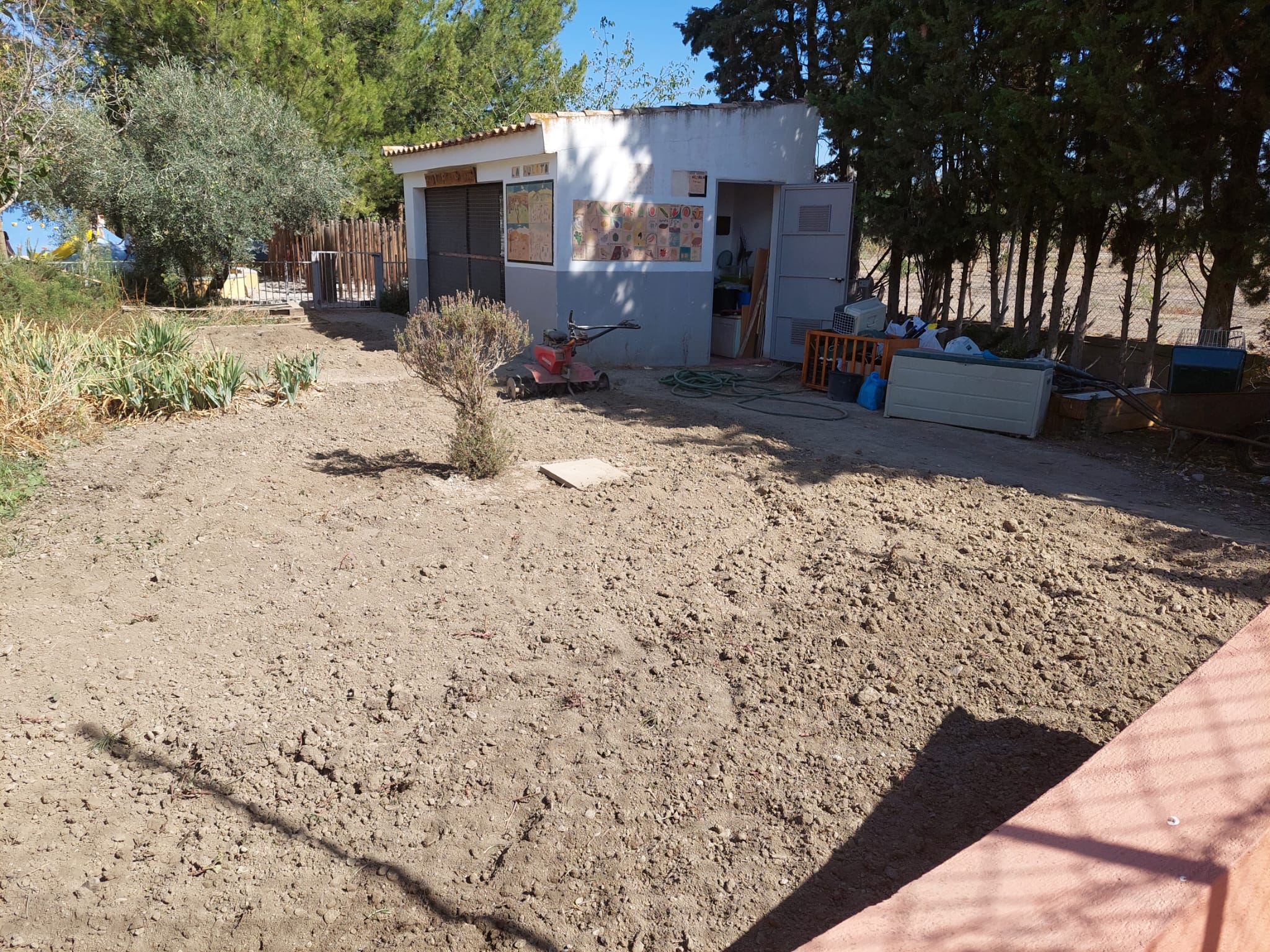 WhatsApp Image 2023-10-06 at 18.47.54-2