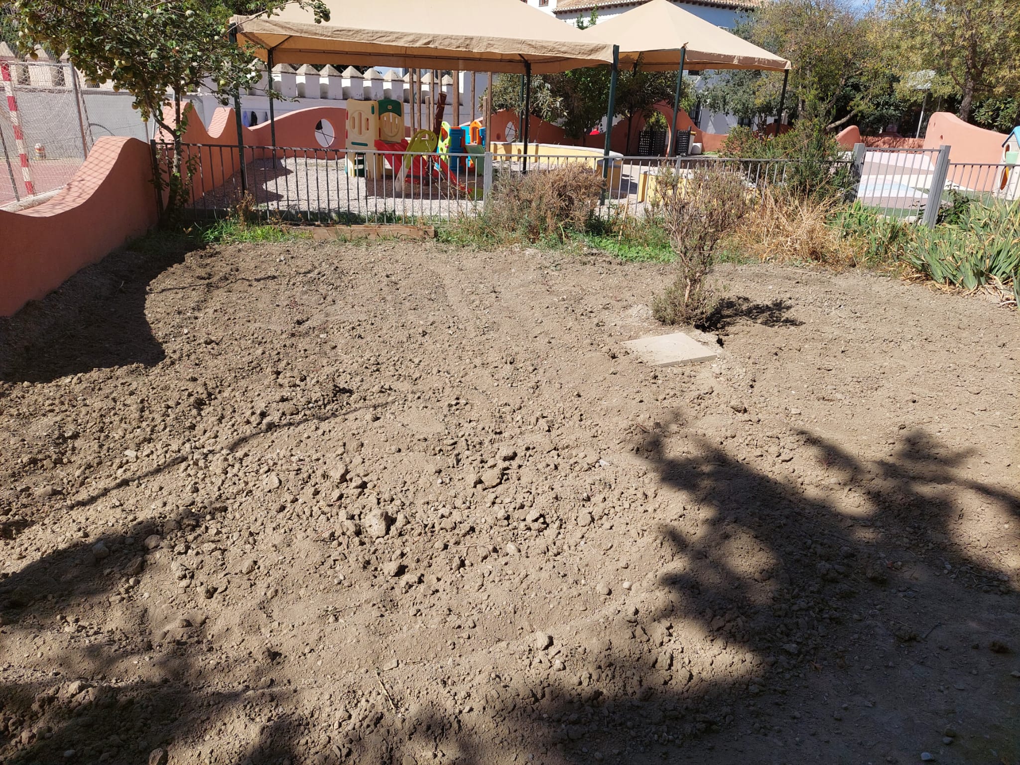 WhatsApp Image 2023-10-06 at 18.47.54-3