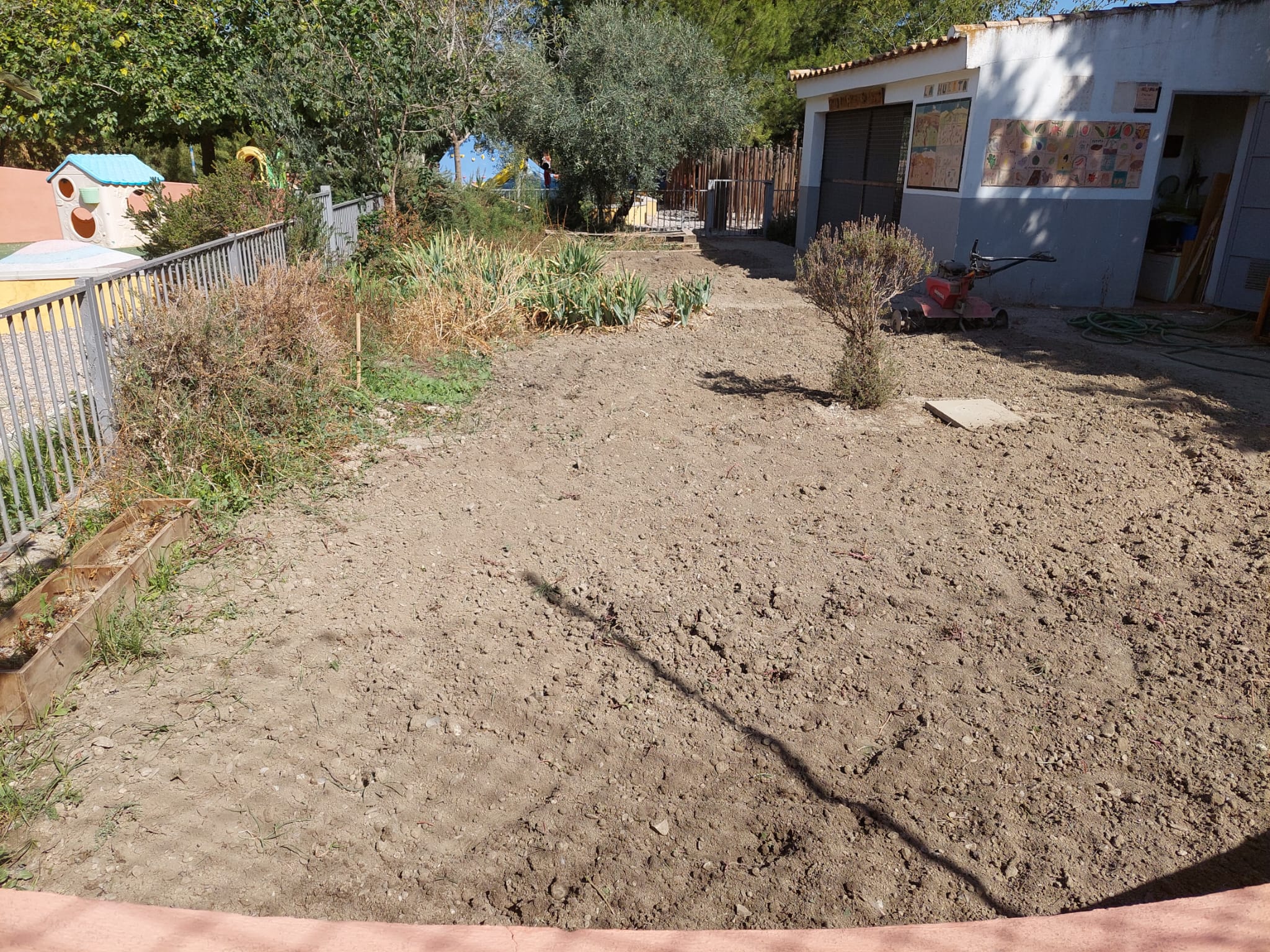 WhatsApp Image 2023-10-06 at 18.47.54