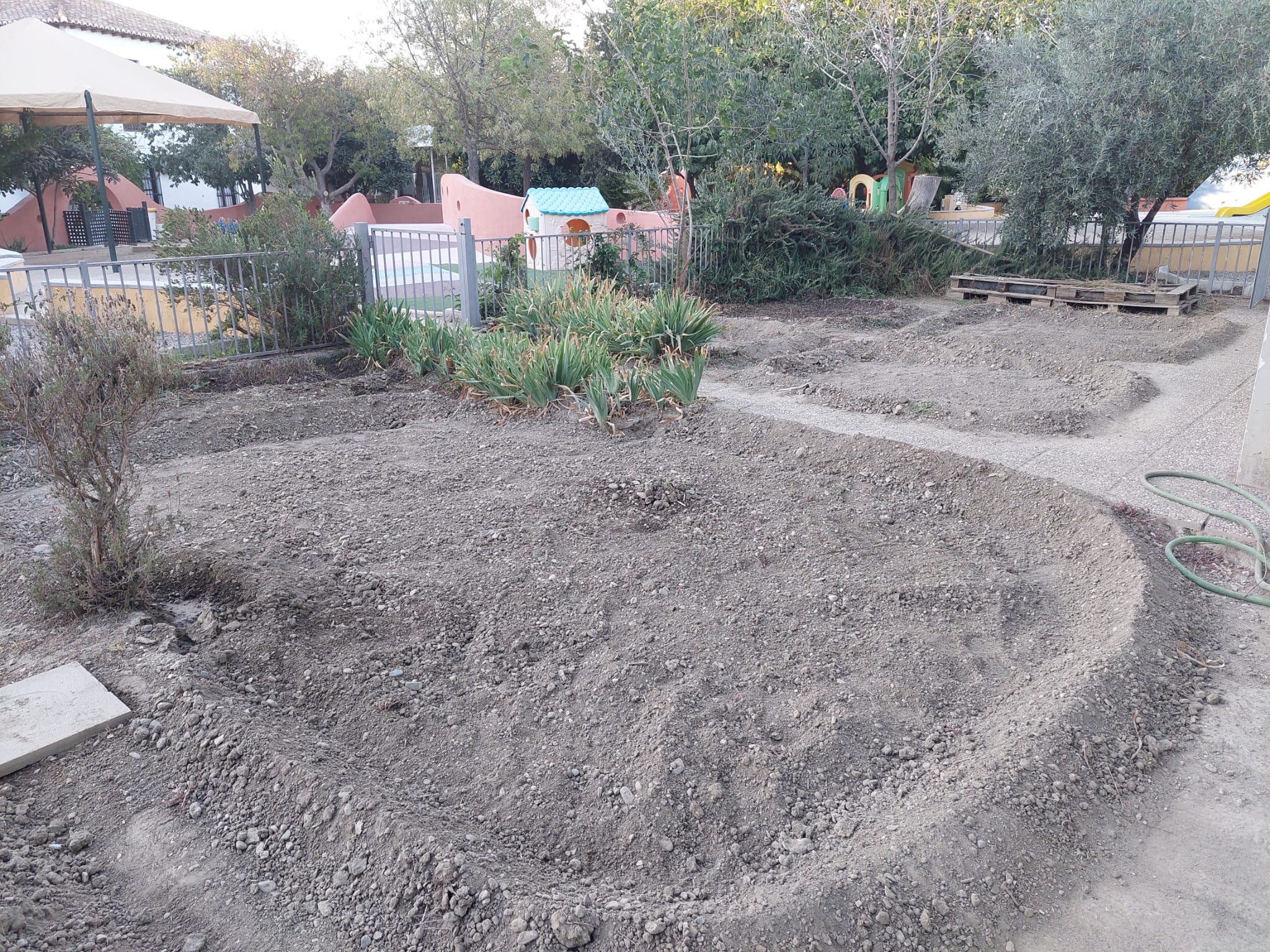 WhatsApp Image 2023-10-07 at 21.46.44-2