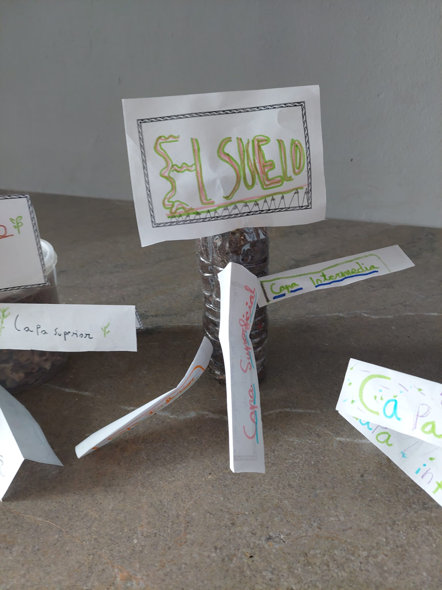 WhatsApp Image 2023-10-21 at 11.20.26-2