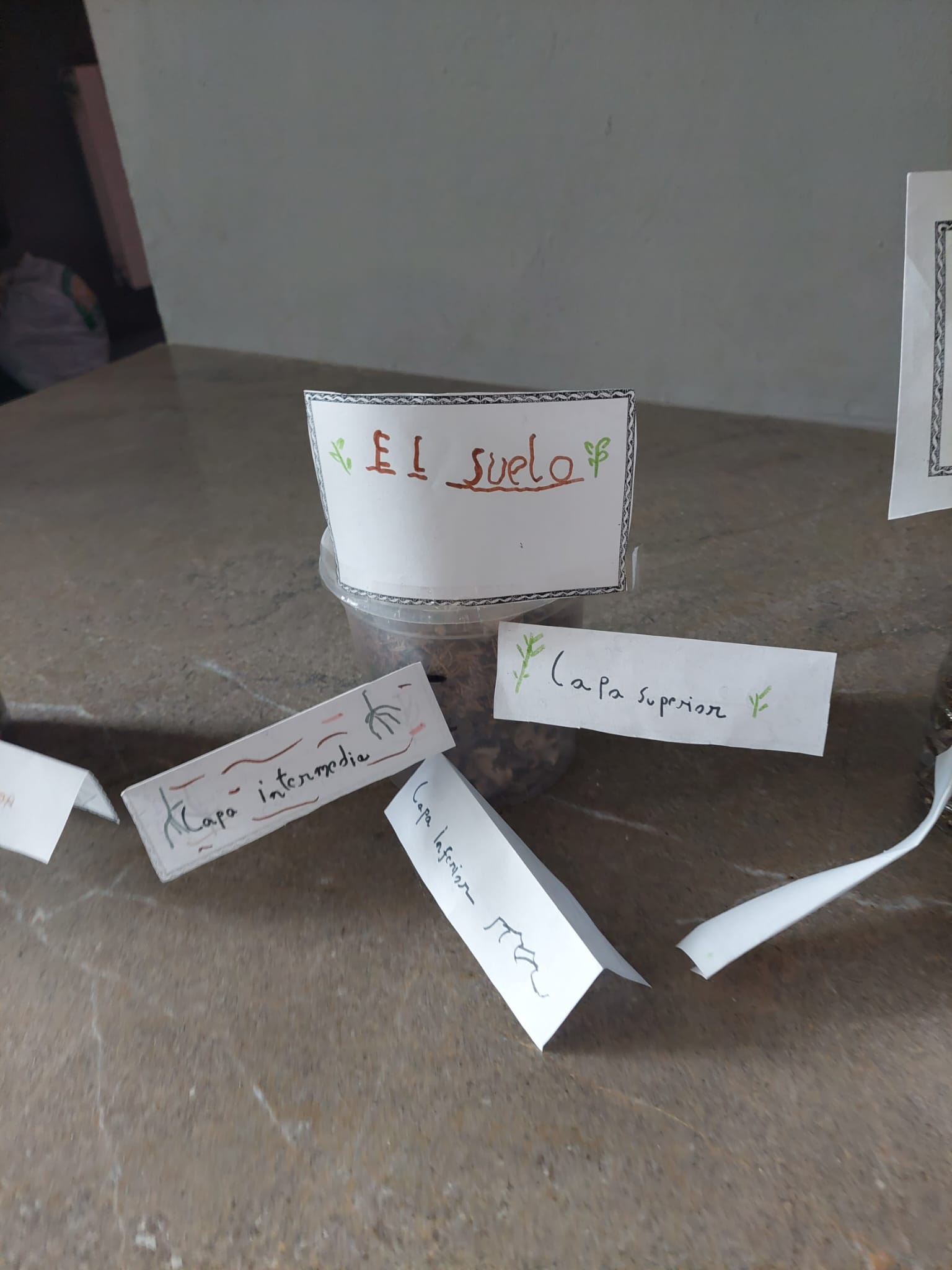 WhatsApp Image 2023-10-21 at 11.20.26