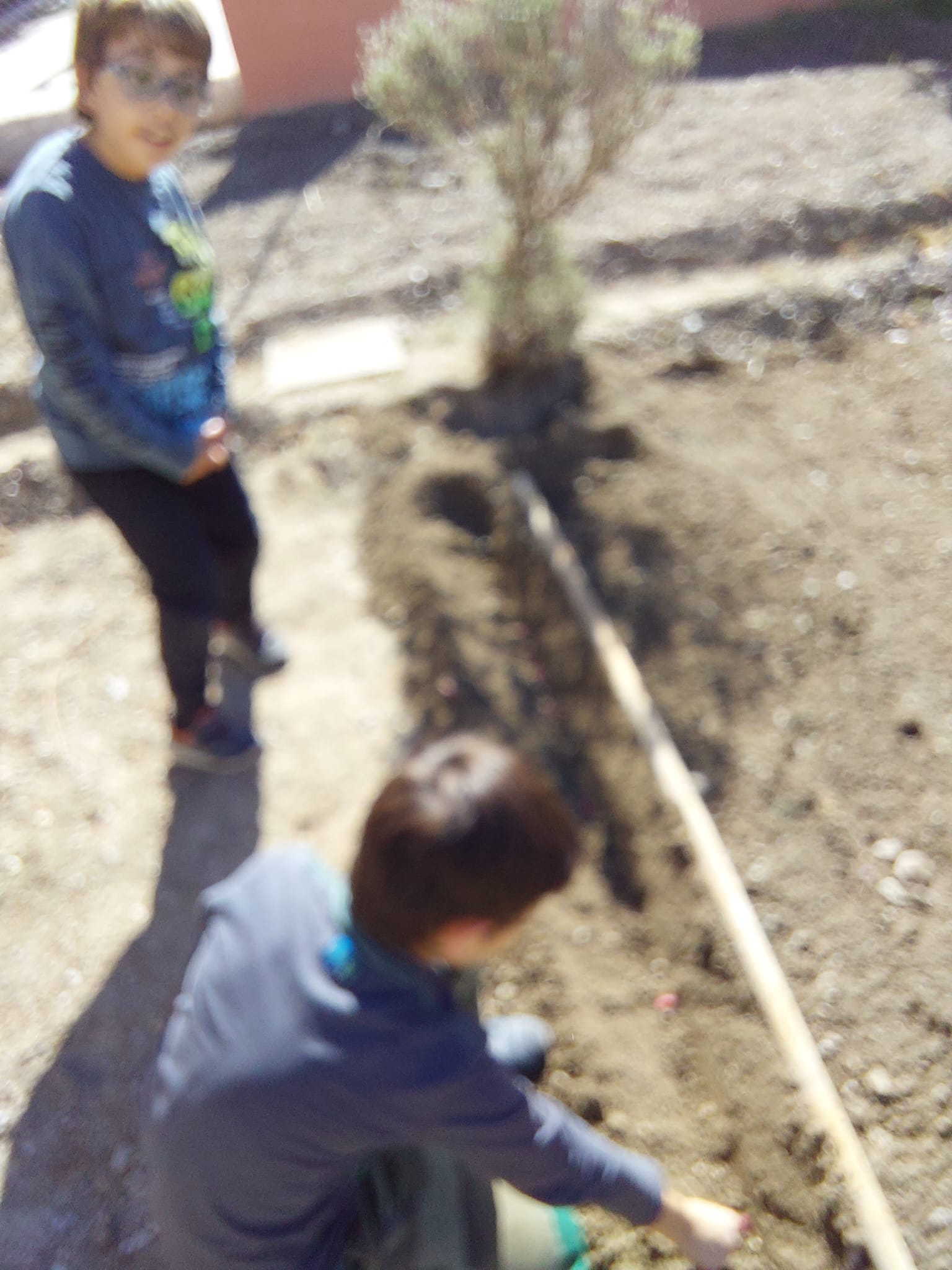 WhatsApp Image 2023-10-27 at 21.12.58