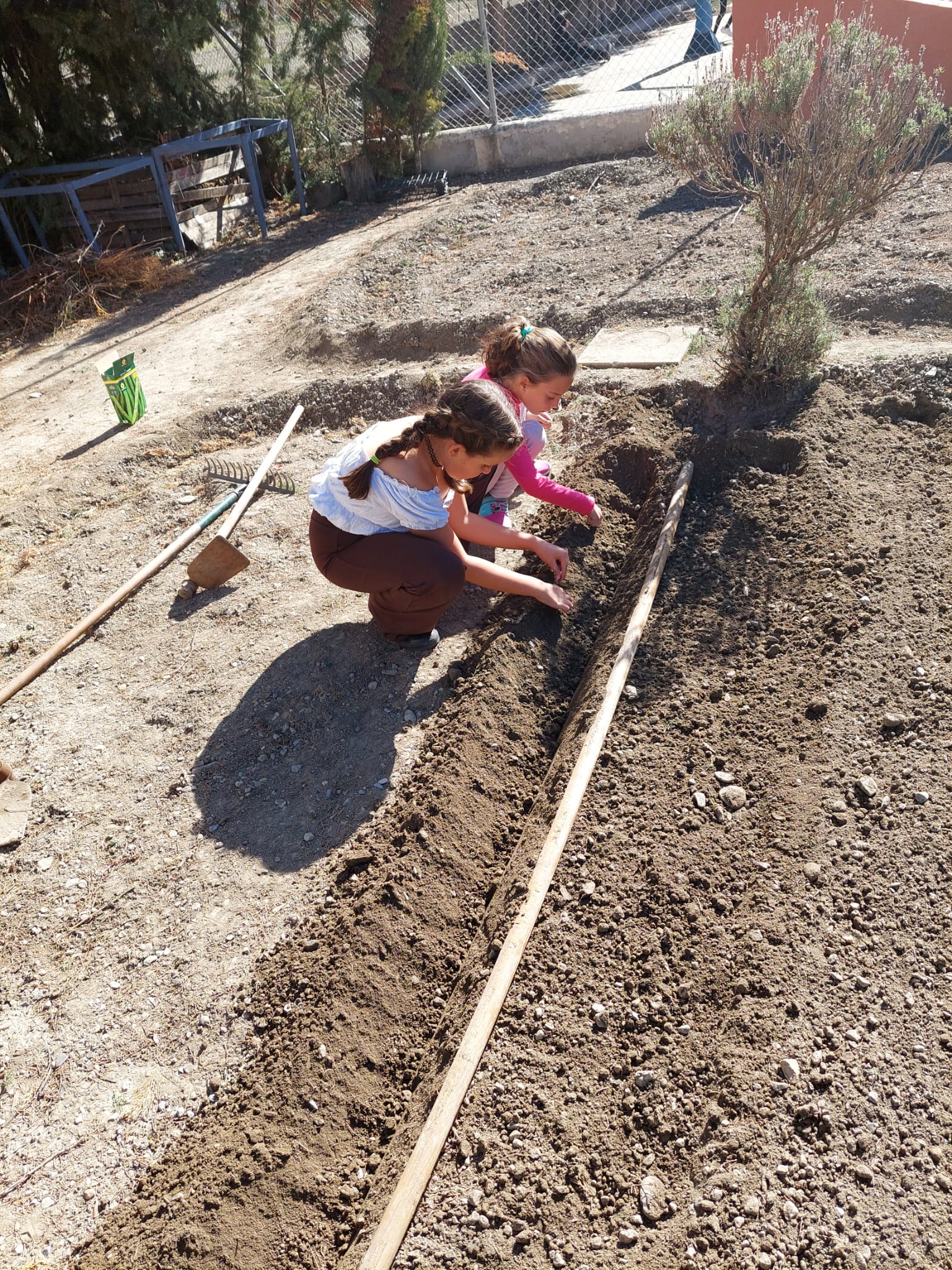 WhatsApp Image 2023-10-27 at 21.12.59-2