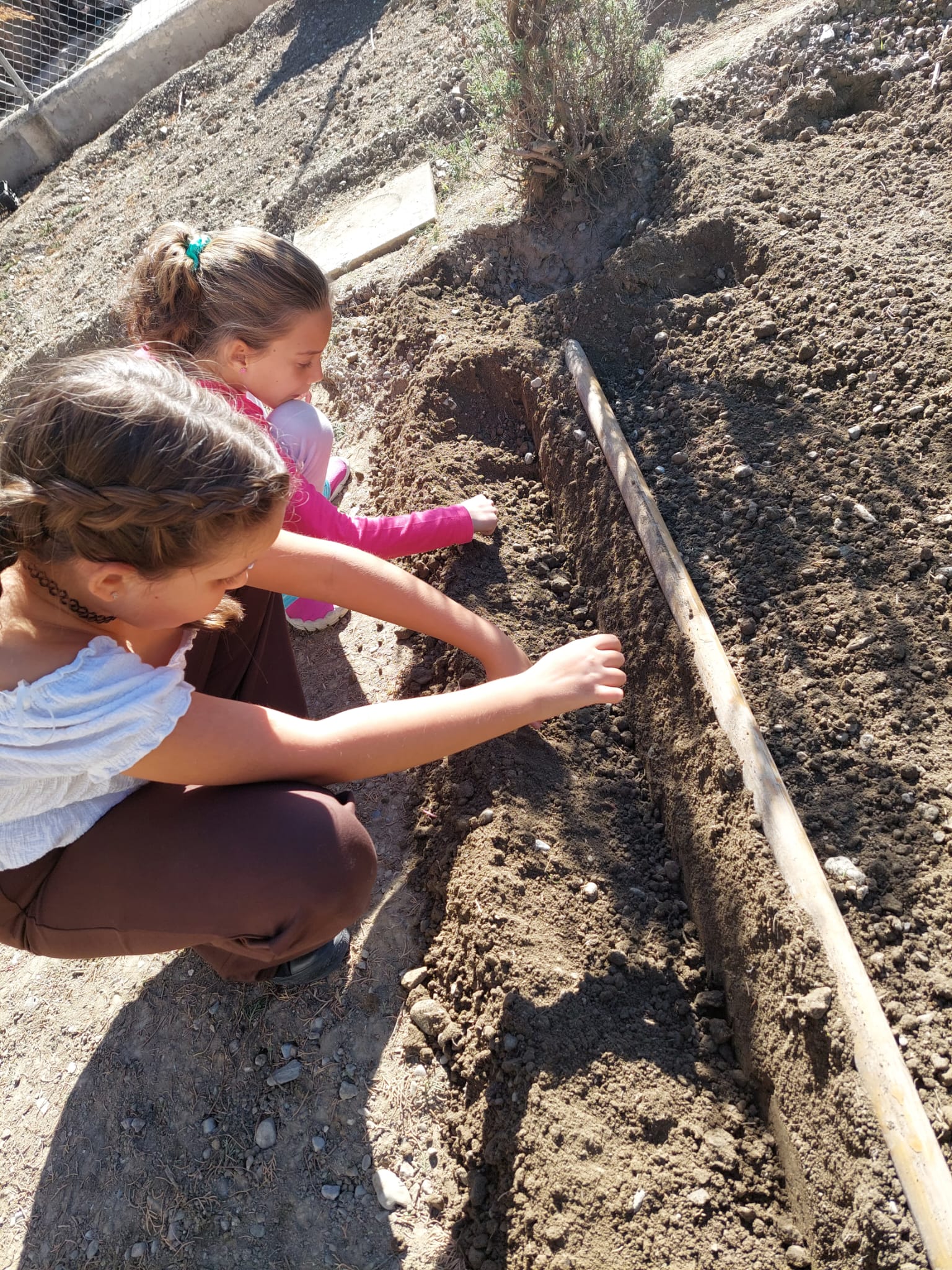 WhatsApp Image 2023-10-27 at 21.12.59