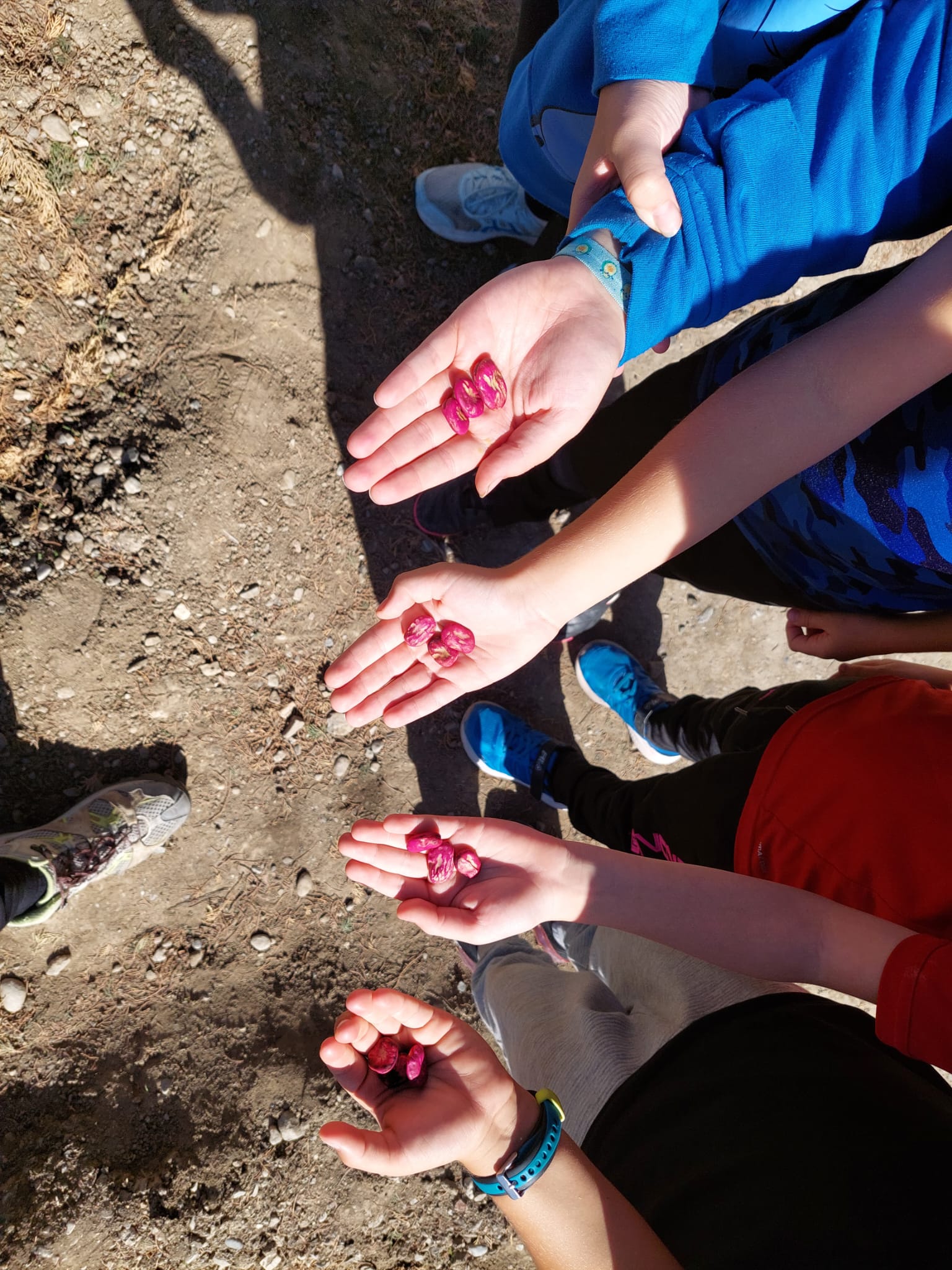 WhatsApp Image 2023-10-27 at 21.13.00-2